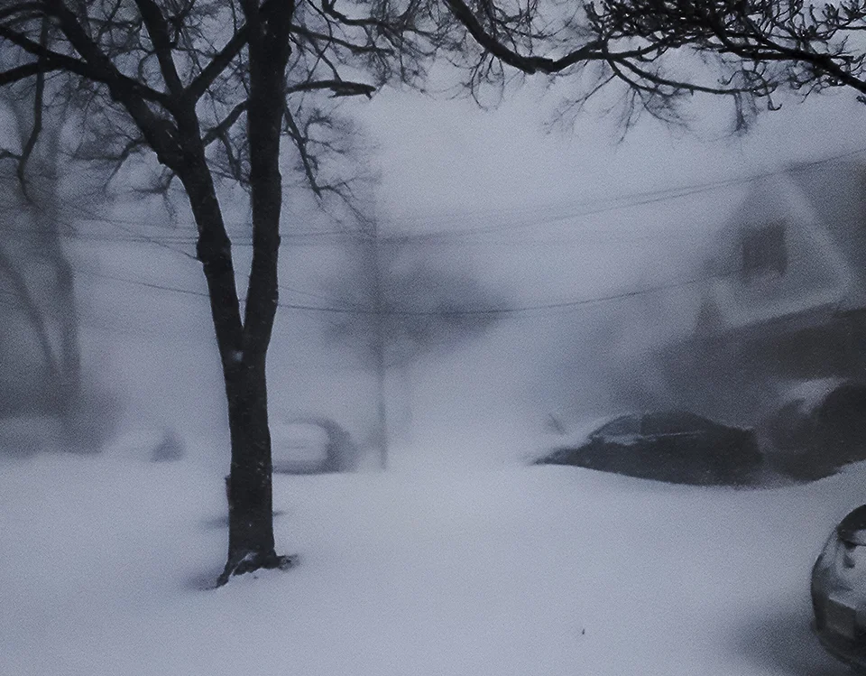 The "bomb cyclone" of early January 2018 blanketed Queens, NY in snow. Photo: ©Henry Adebonojo .