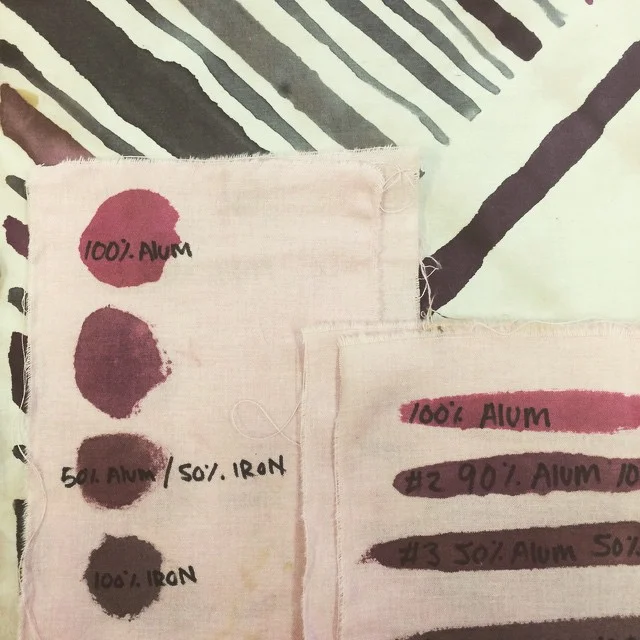 cochinealcolor.jpg
