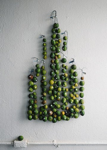 Analise Minjarez. Ay Si, Your Sky, 2016. Site specific installation. Limes, stickers, plastic tablecloth, waxed linen, and spray paint. Sizes variable.