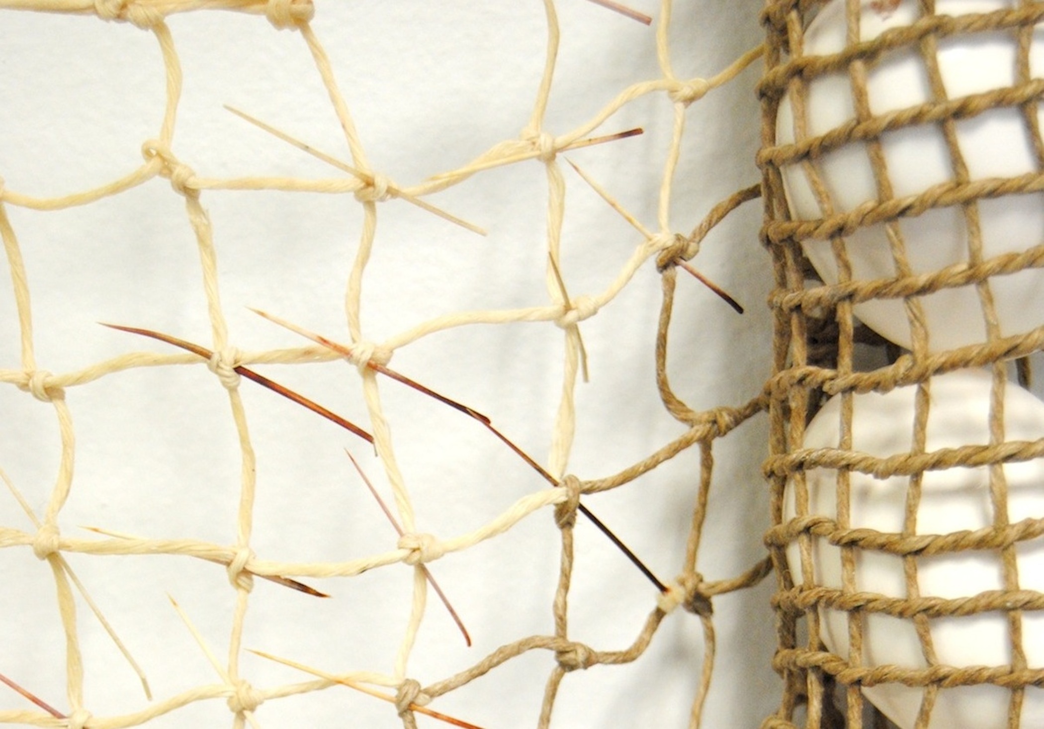 Westrup,Sarah_HuevosRancheros_detail_horizontal.jpg