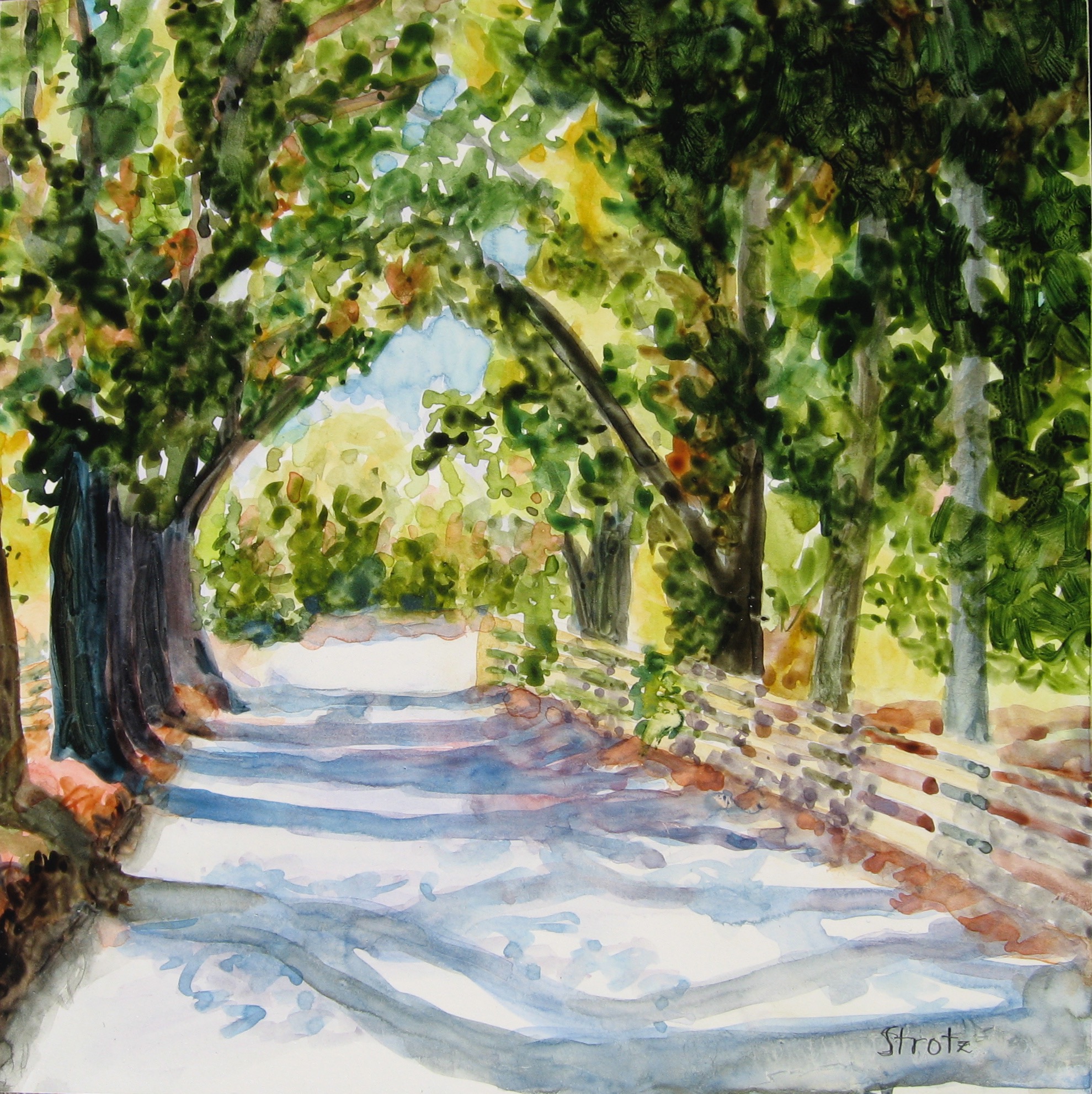 Shady Lane, 8" x 8"