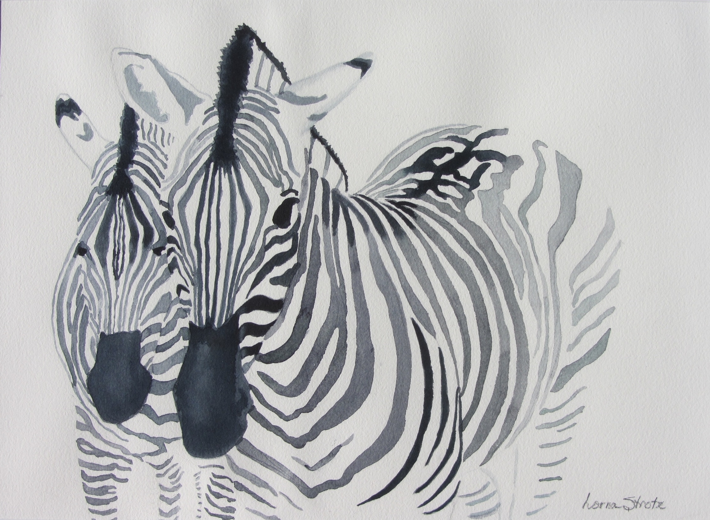 Zebras, 18" x 13.5"