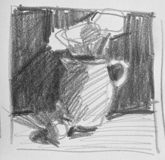 Pitcher &amp; Fruit value sketch 