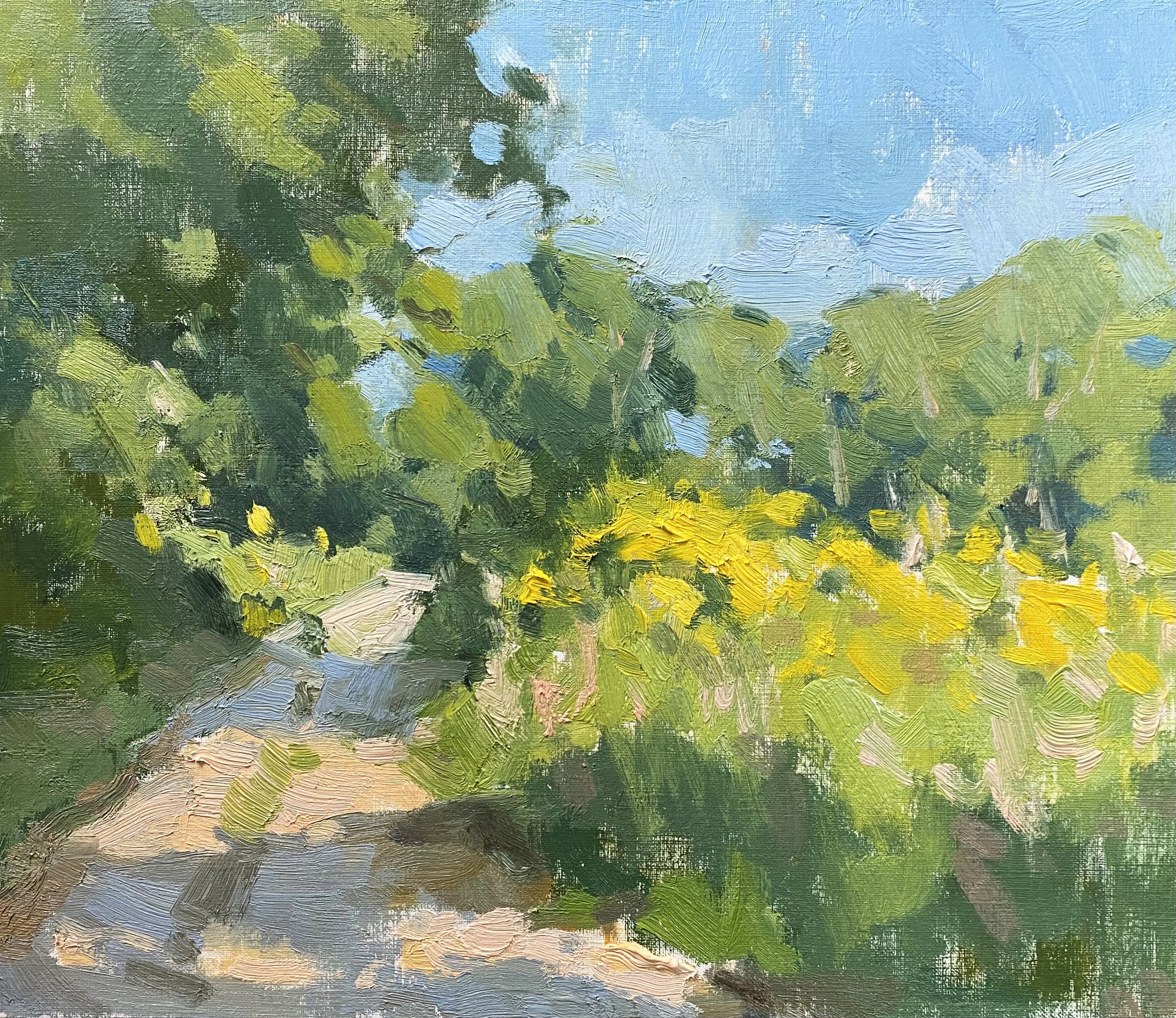 Paintings 2 — Anne Blair Brown