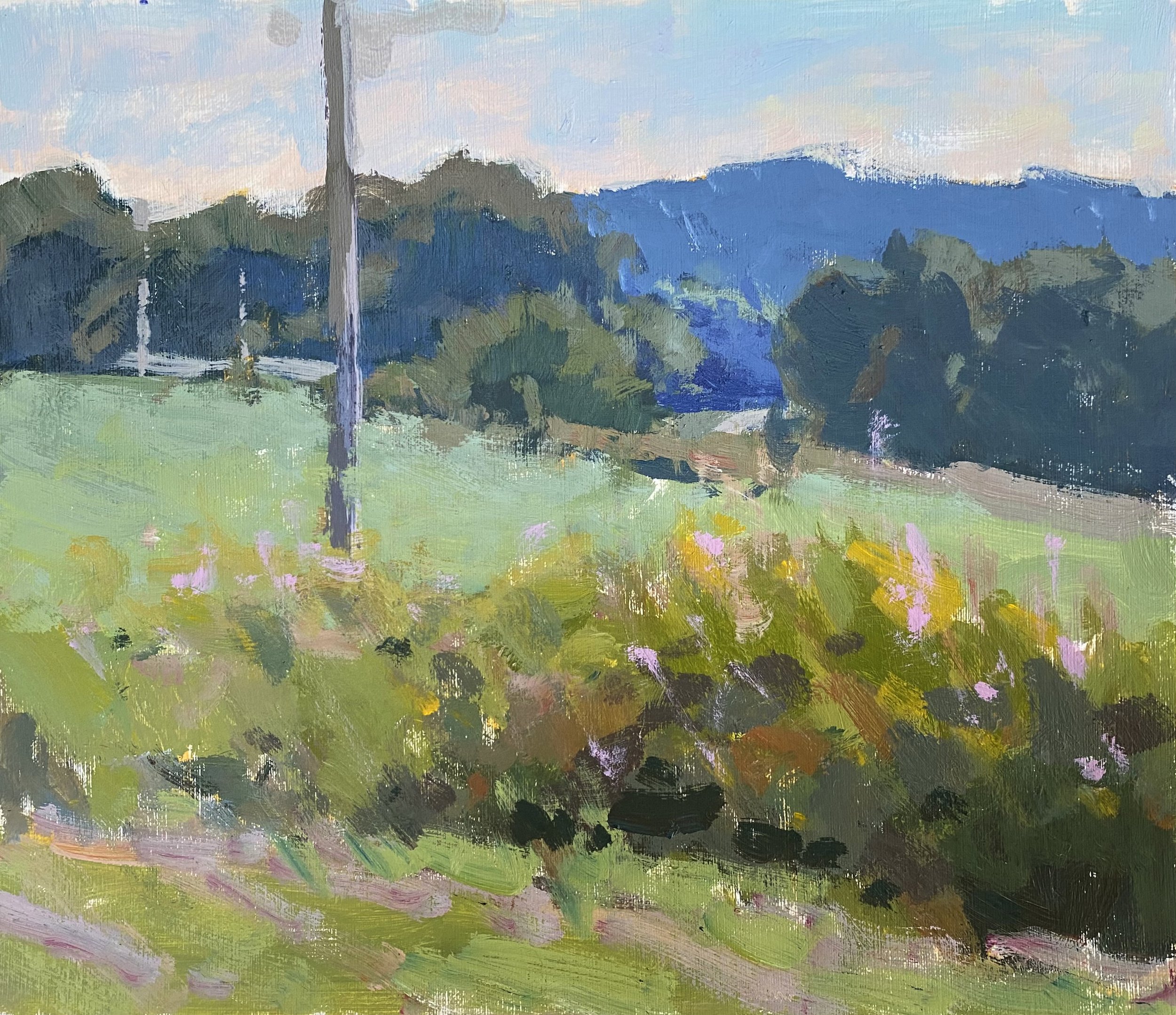 Paintings 2 — Anne Blair Brown