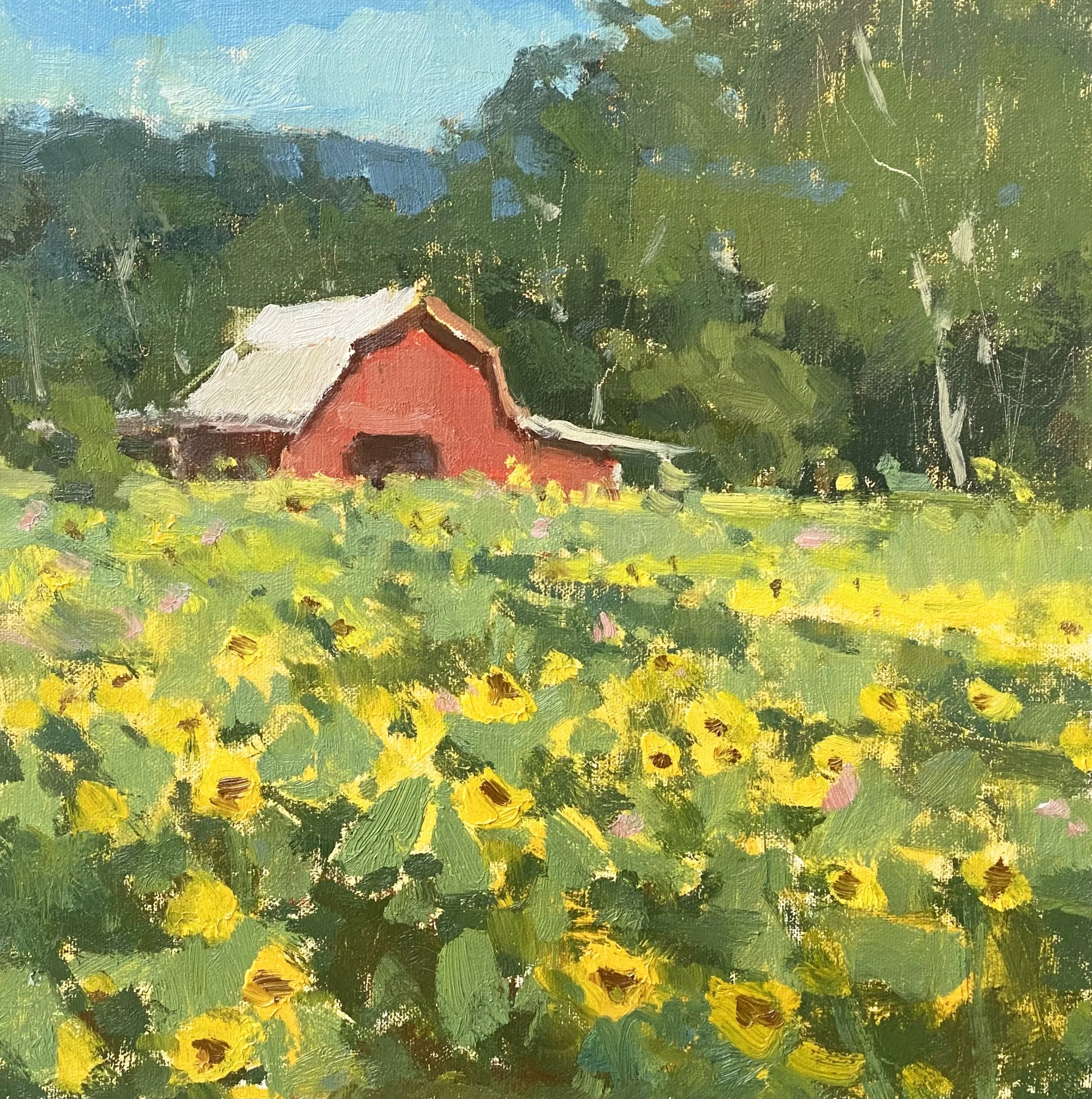 "Sunny Farm"