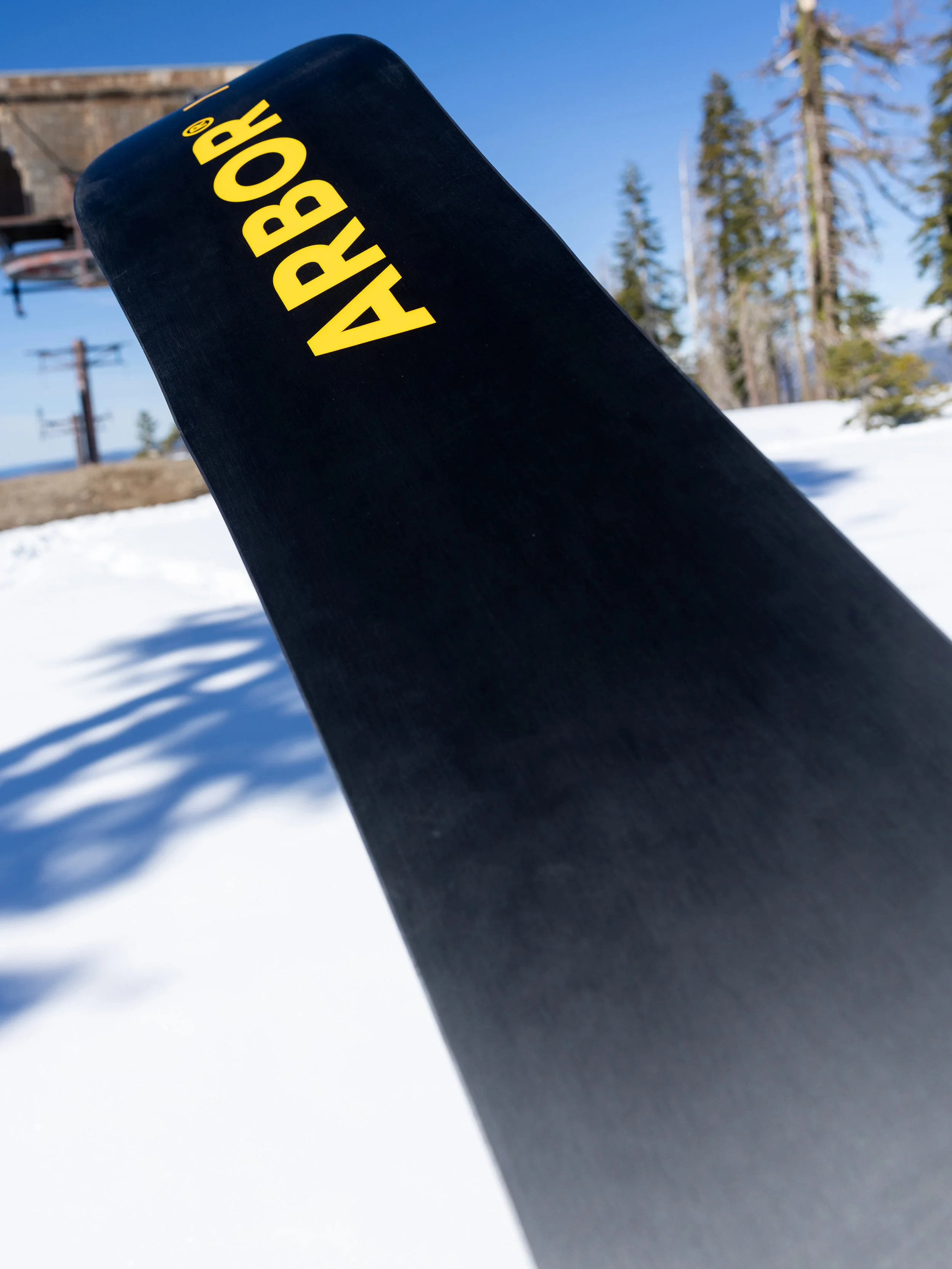 ARBOR-26-CODA-IN-ENVIRONMENT-06.jpg