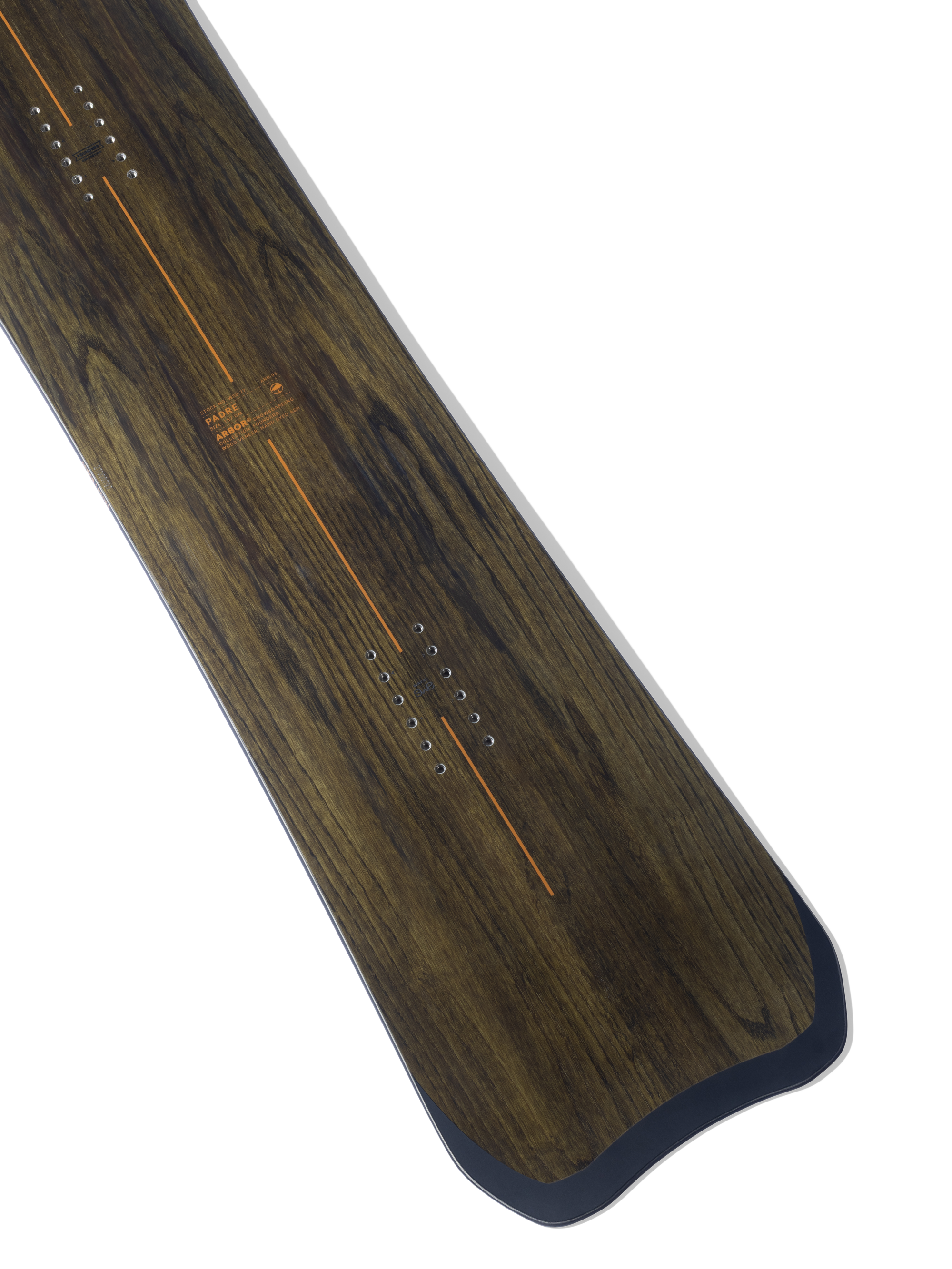 3-ARBOR_PADRE_2025_STUDIO copy.png