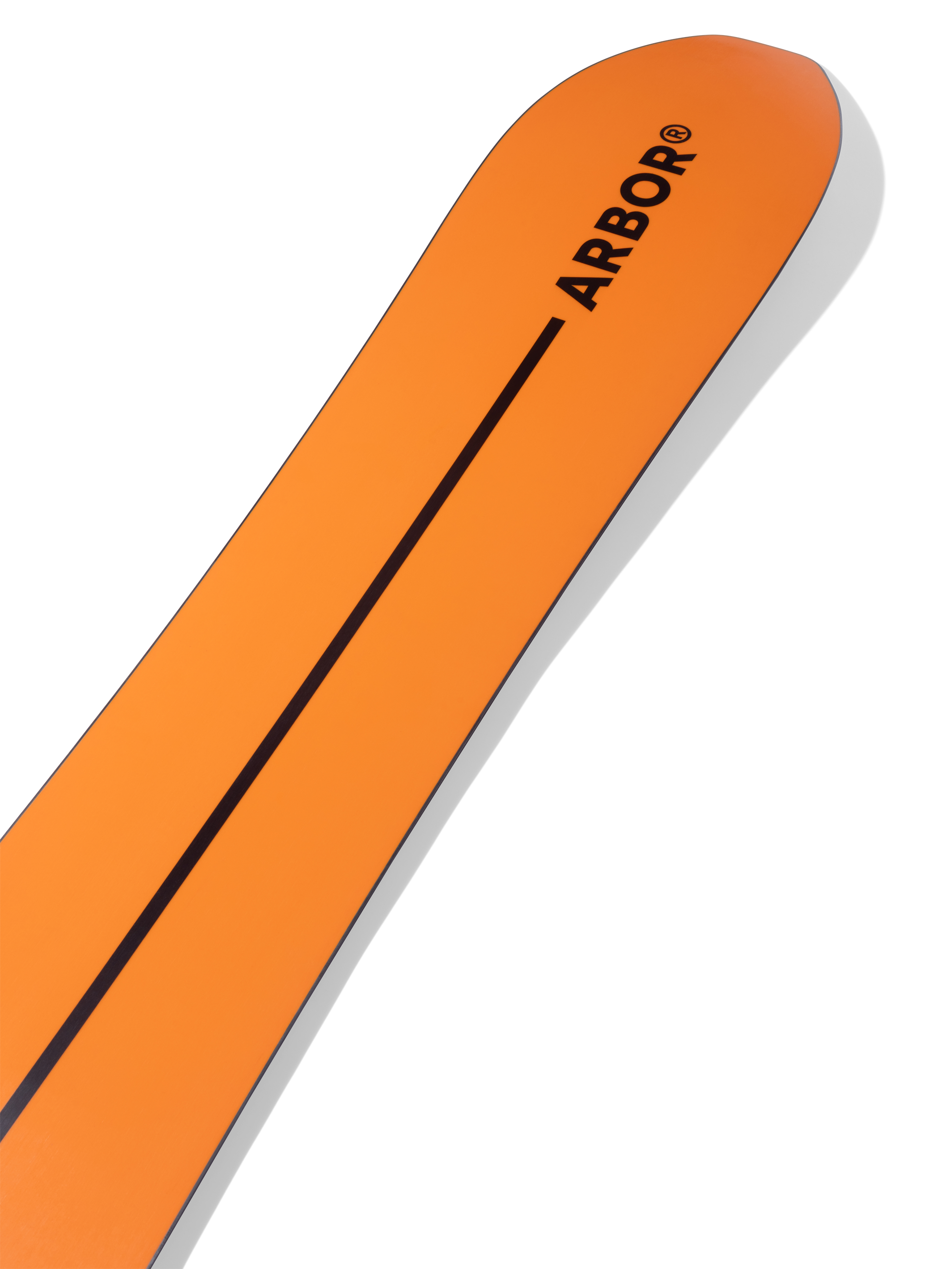 4-ARBOR_PADRE_2025_STUDIO copy.png