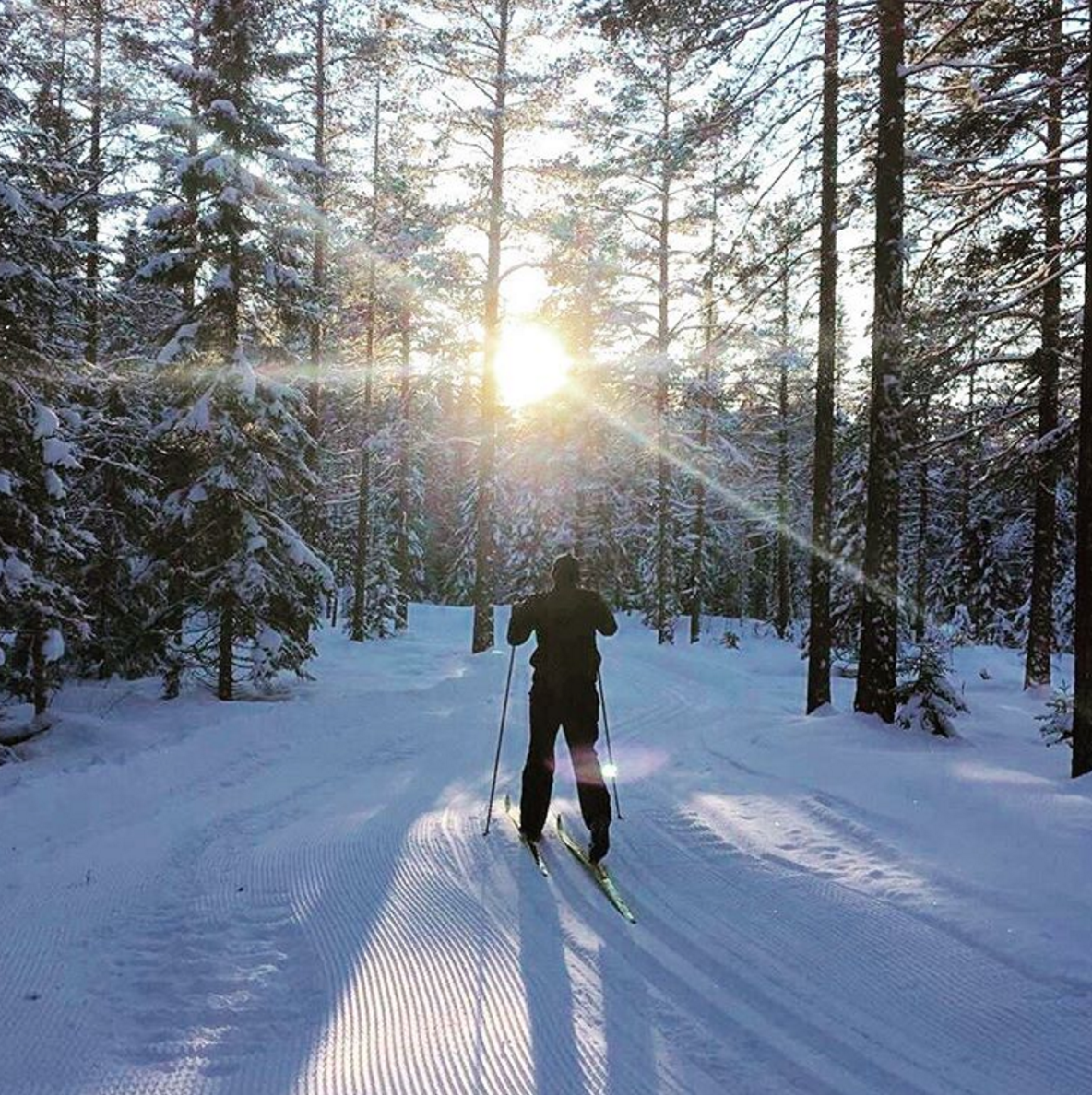 Avslappnande längdskidåkning