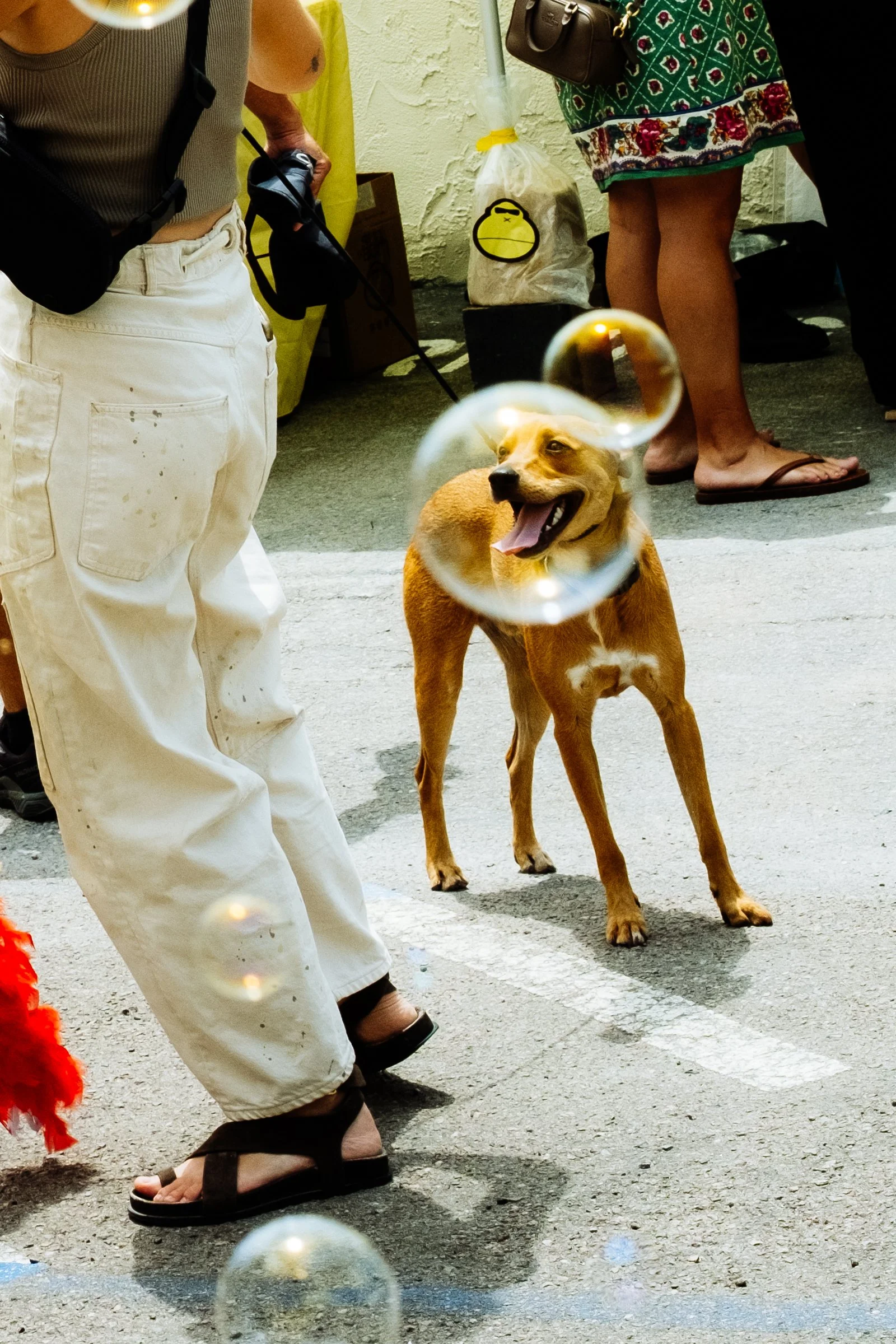 DSCF7886.jpg
