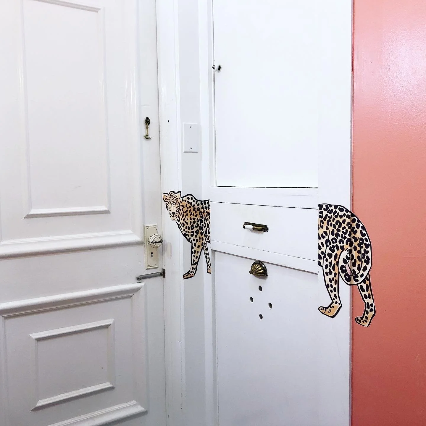 cheetah bathroom decor.jpeg