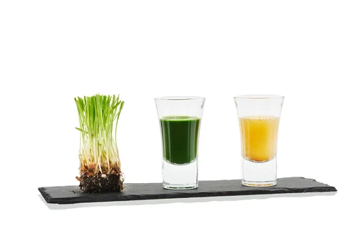 wheatgrass_solarray.jpg