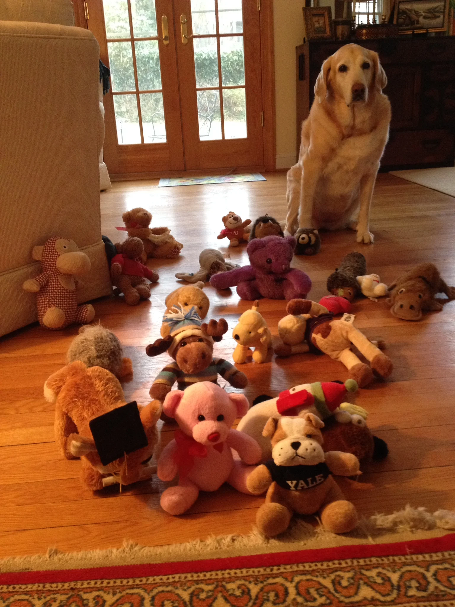 Sandra Day with an embarrassment of riches