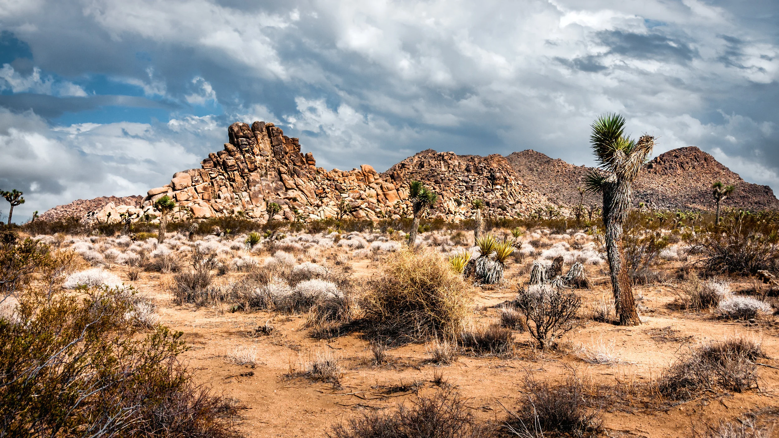 Surviving the Wasteland of Faith Years after my dramatic, unlikely conversion, it seemed God had gone silent. November 23, 2016 | Christianity Today Photo: Bill Dickinson (CC-BY-NC-ND)