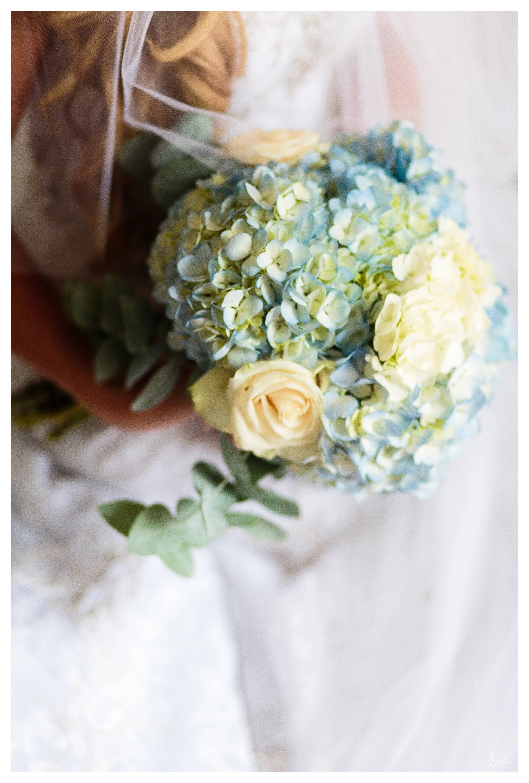 ashahphotography_8323