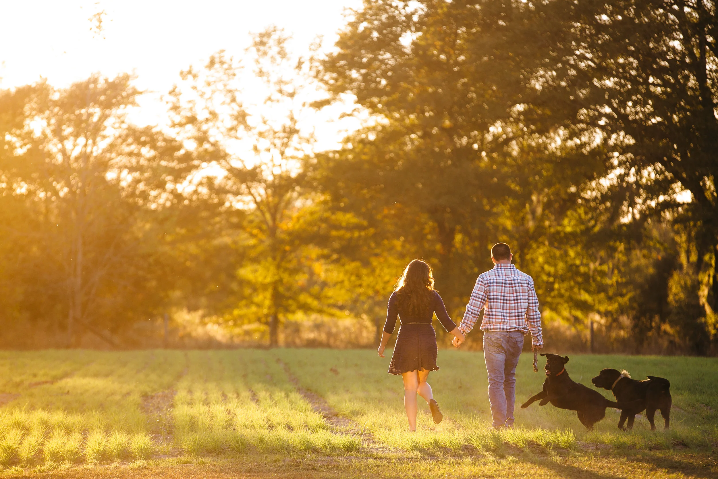 Couple Walking with Dogs - Ashah Photography