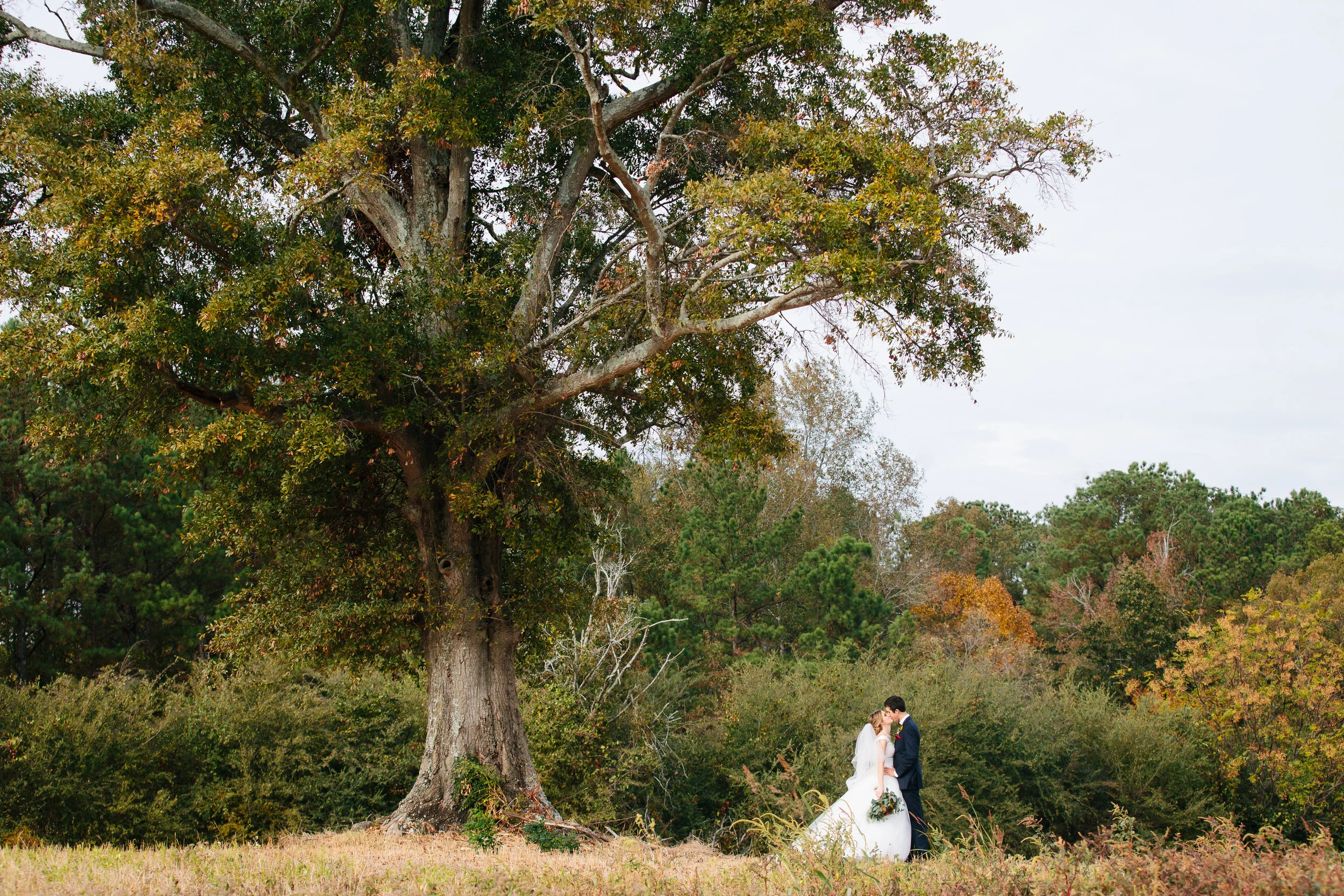 Kissing Under the Oak - Wedding Photography