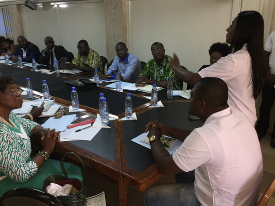 Ms. Bessem Enonchong, GLPGP’s Cameroon Country Director, briefing implementing partners for Bottled Gas For Better Life Phase II in Yaoundé, Cameroon in November, 2017.
