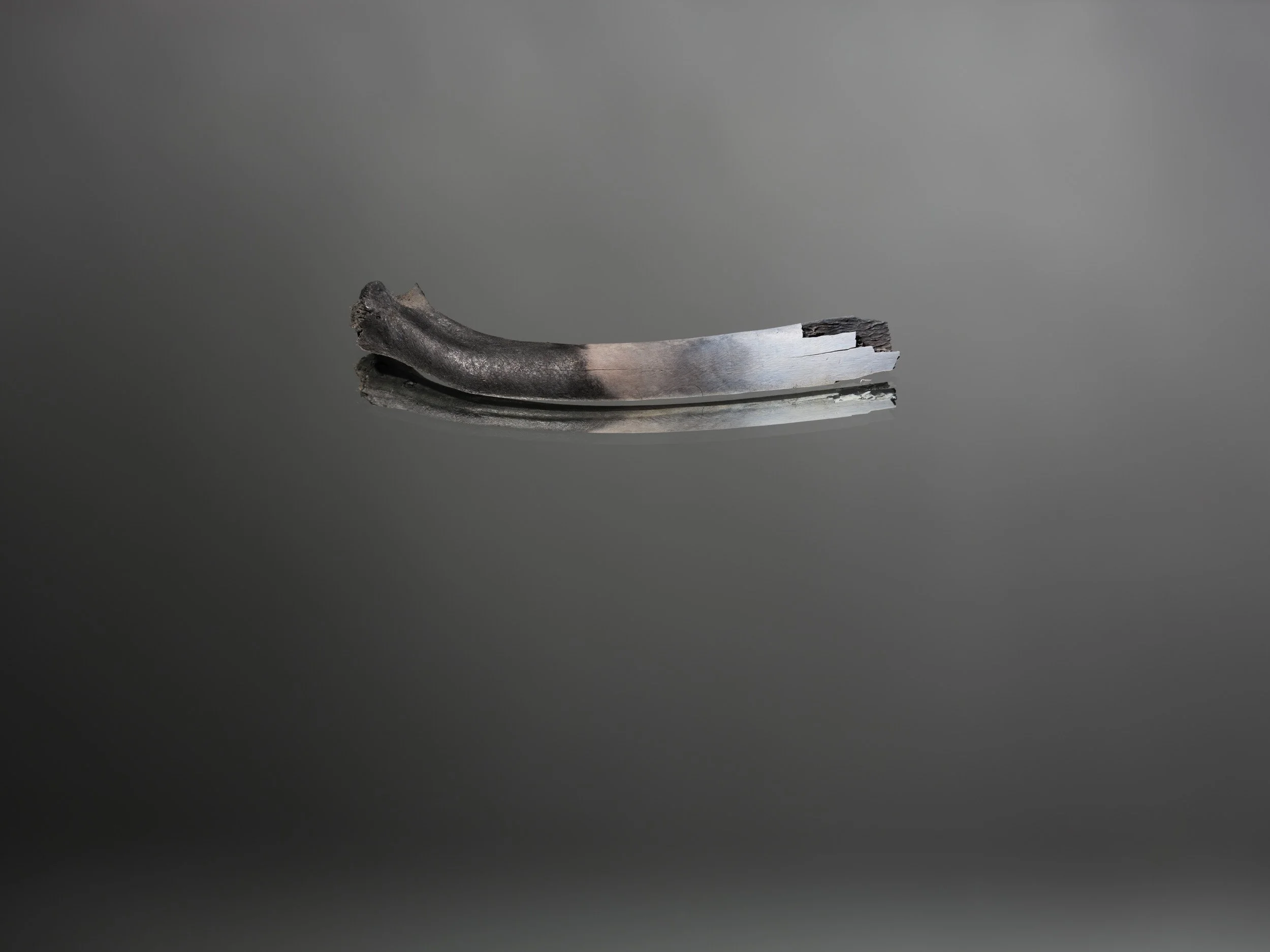 Artifact of Disturbance I