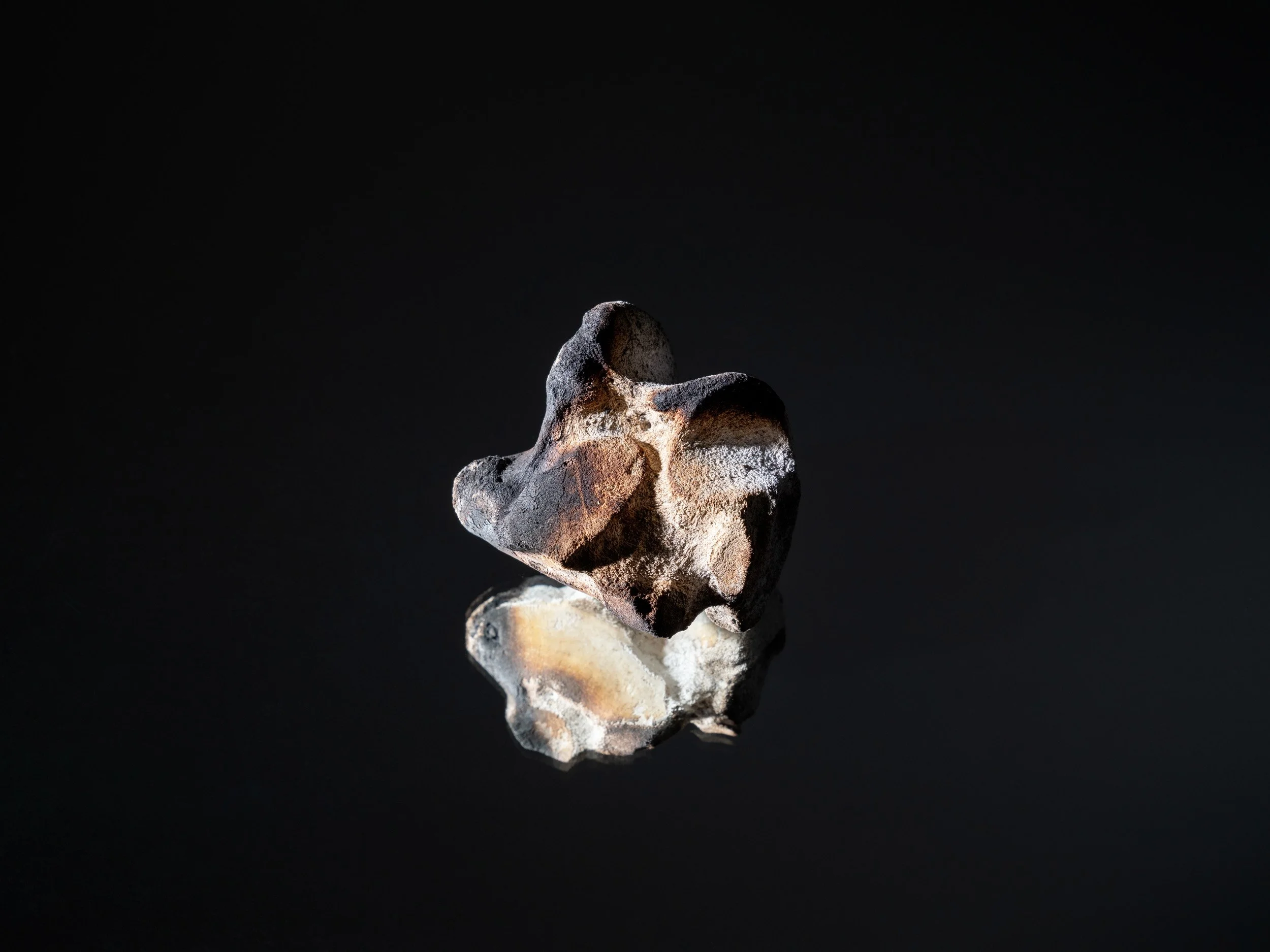 Artifact of Disturbance IV