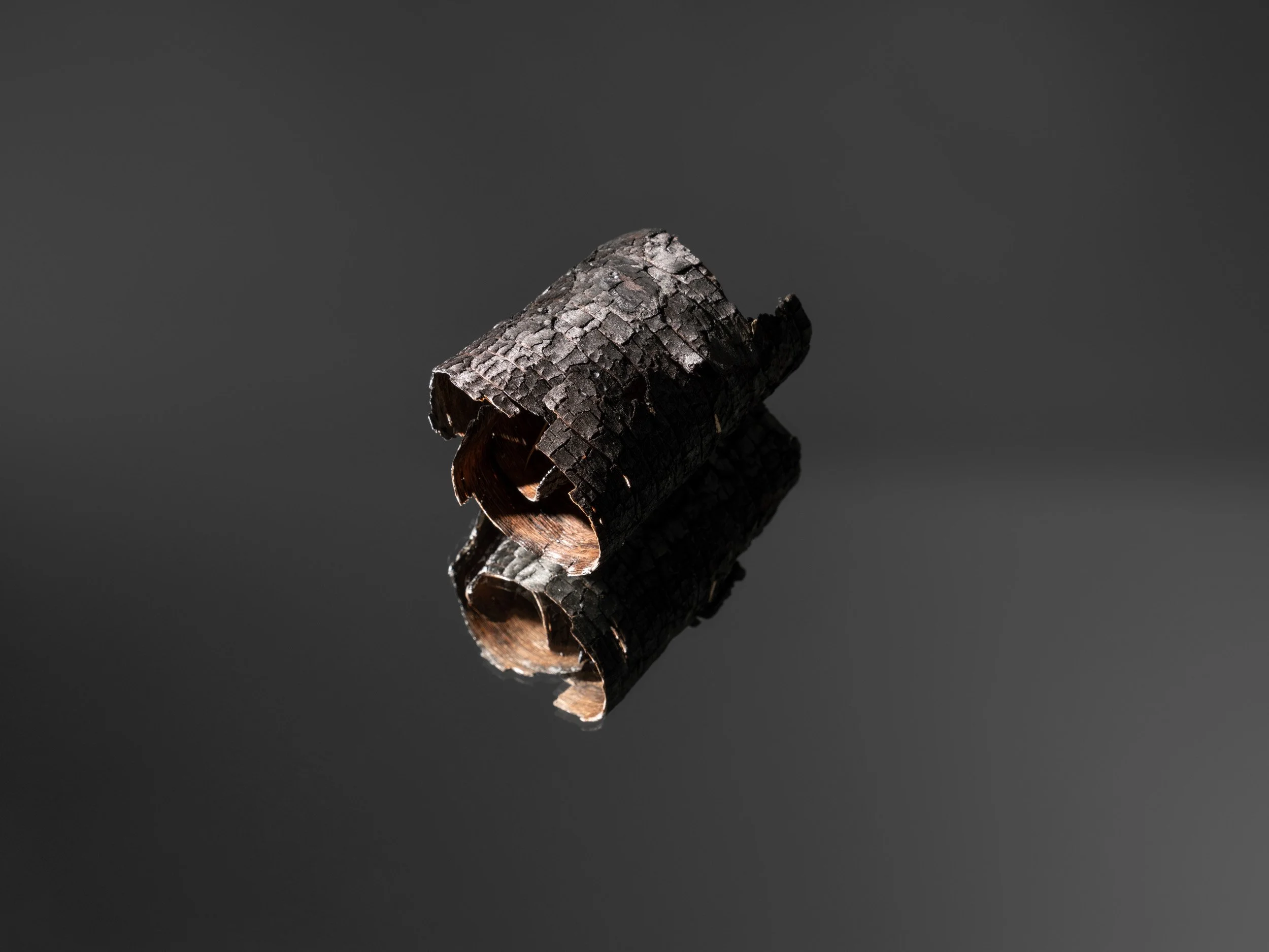 Artifact of Disturbance XI