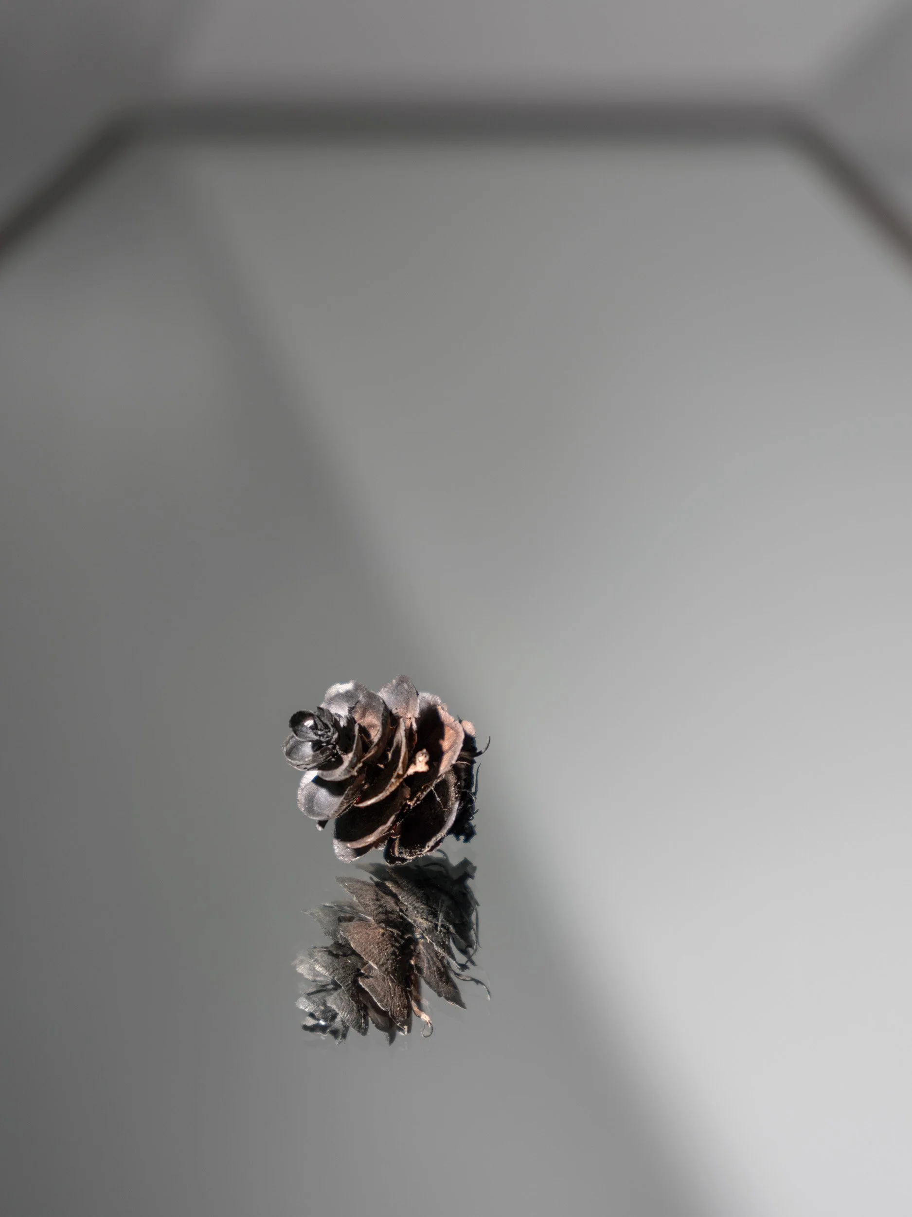 Artifact of Disturbance III