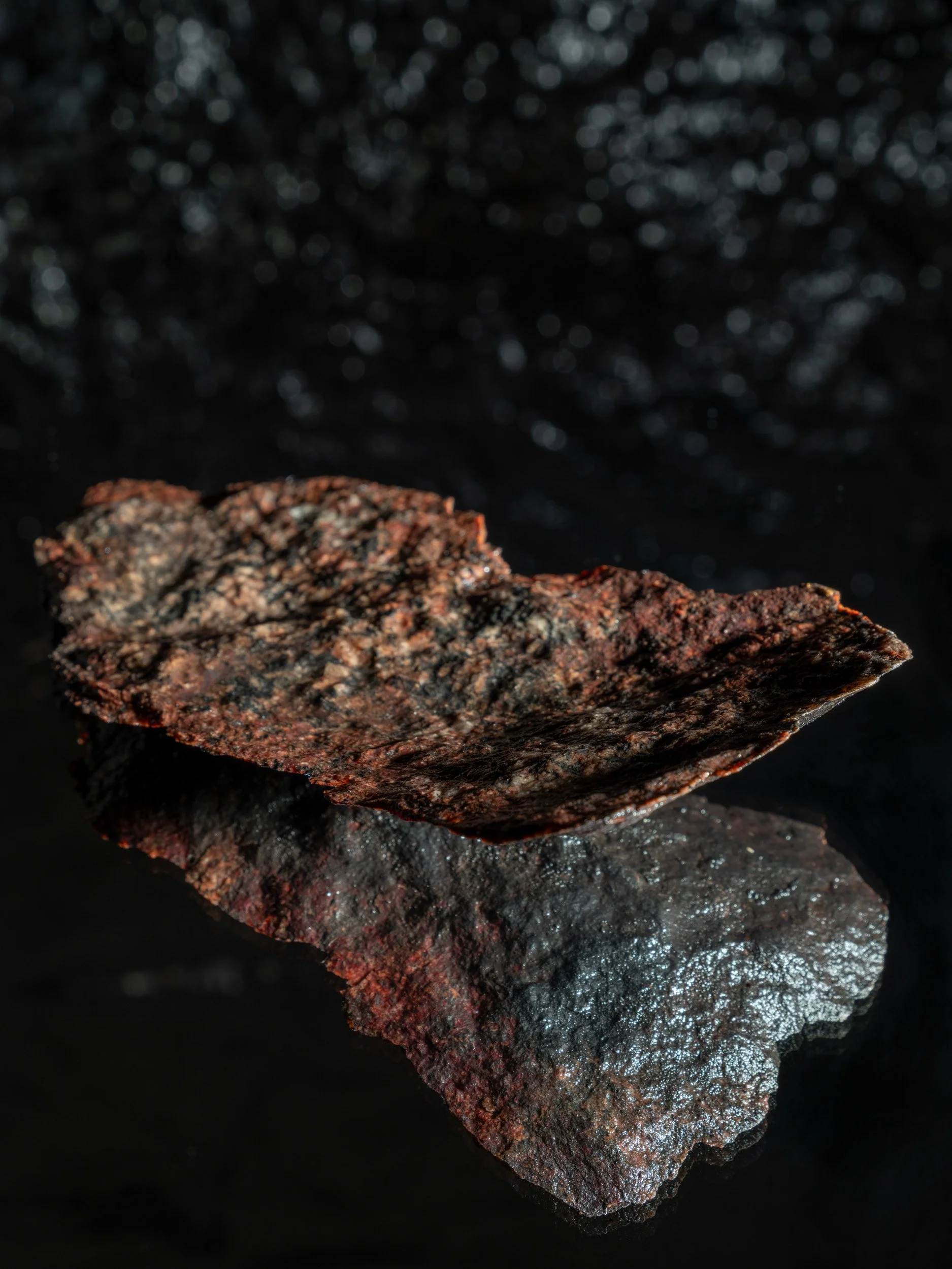 Artifact of Disturbance XVIII
