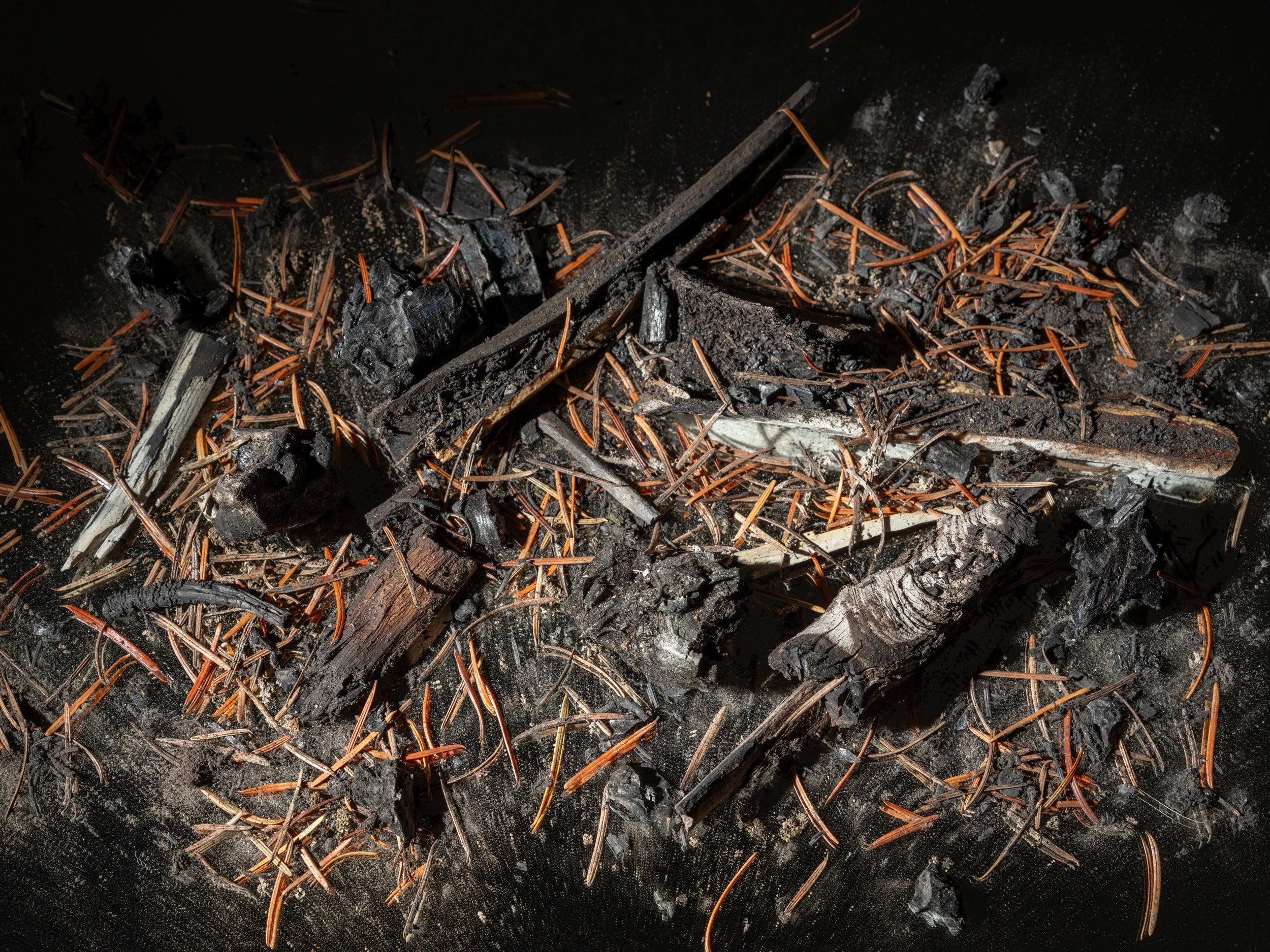 Artifact of Disturbance XXVIII