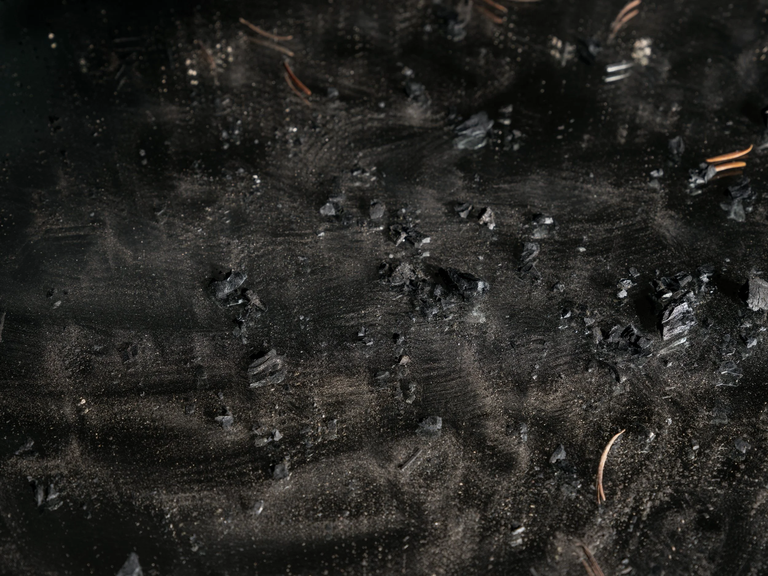 Artifact of Disturbance XXIX