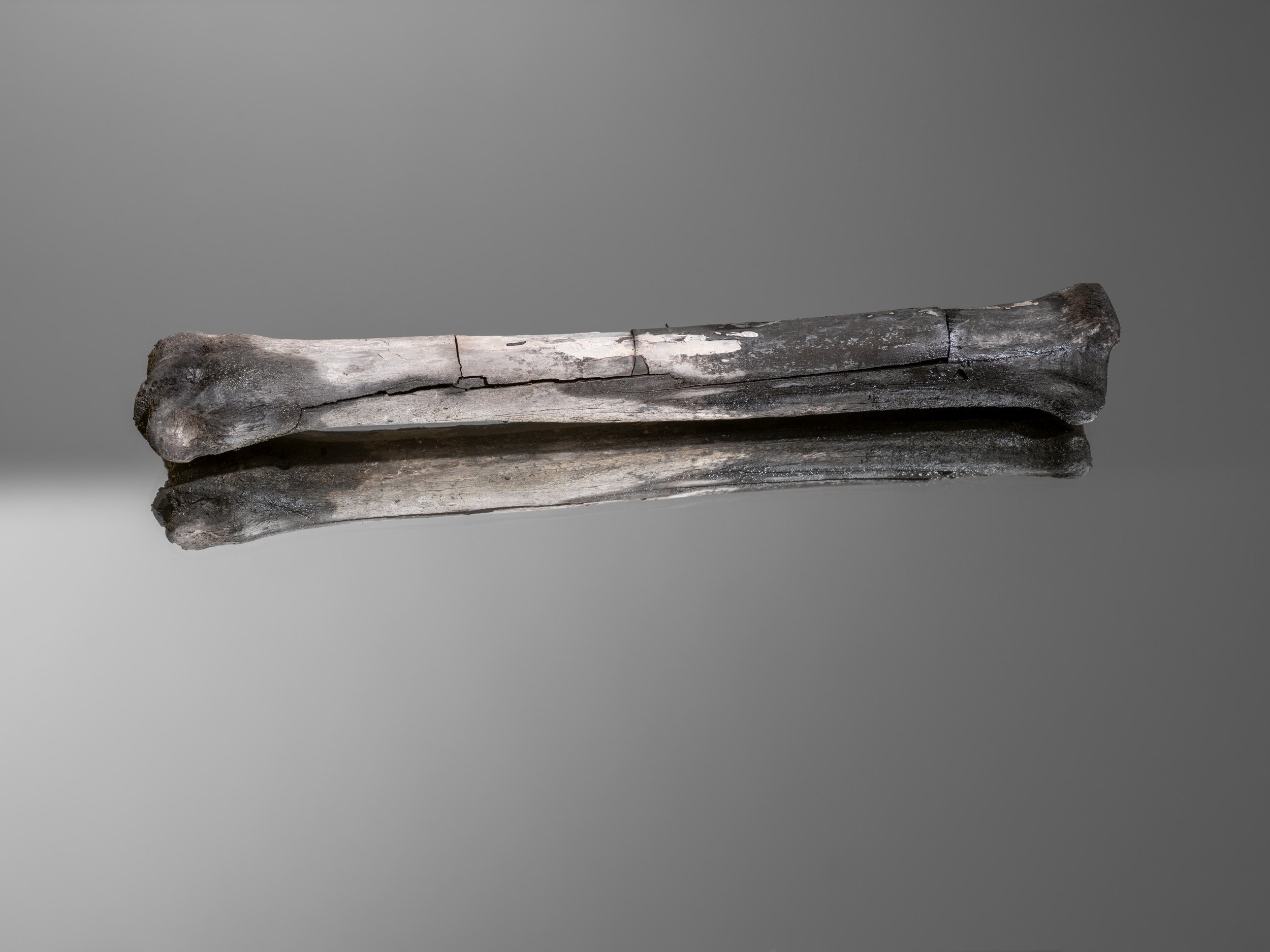 Artifact of Disturbance XXXII