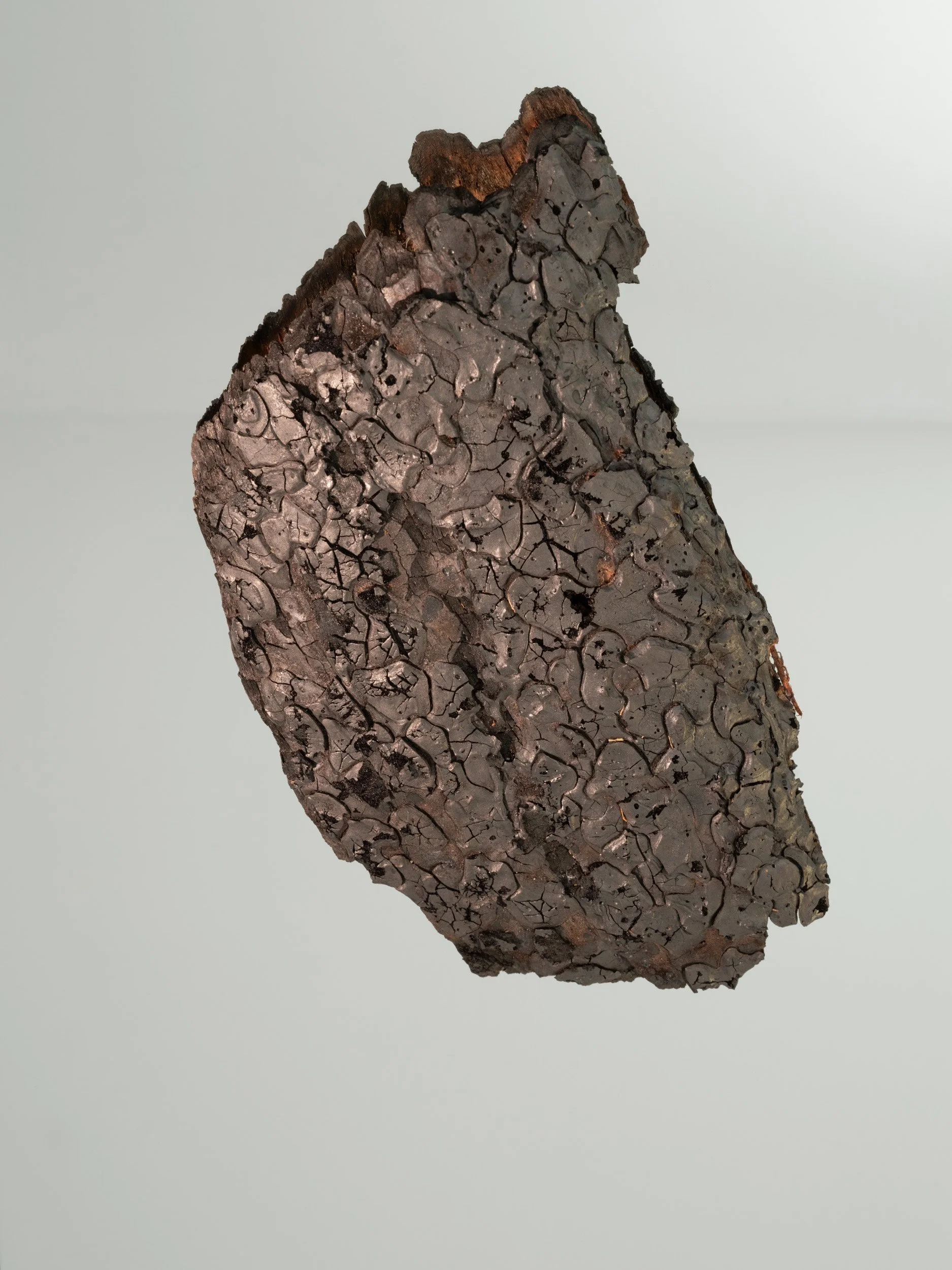 Artifact of Disturbance IX