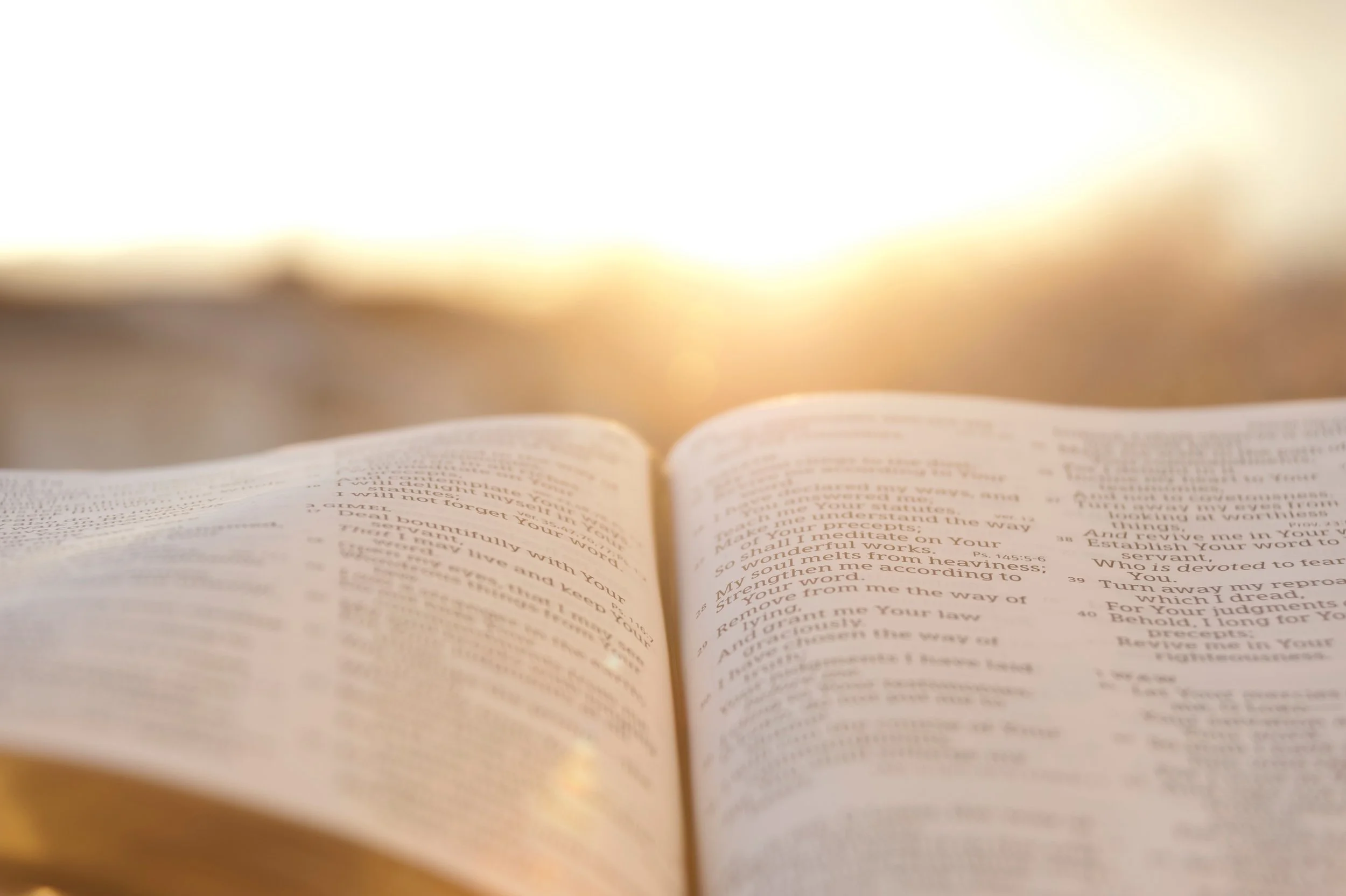 Men's Bible Study