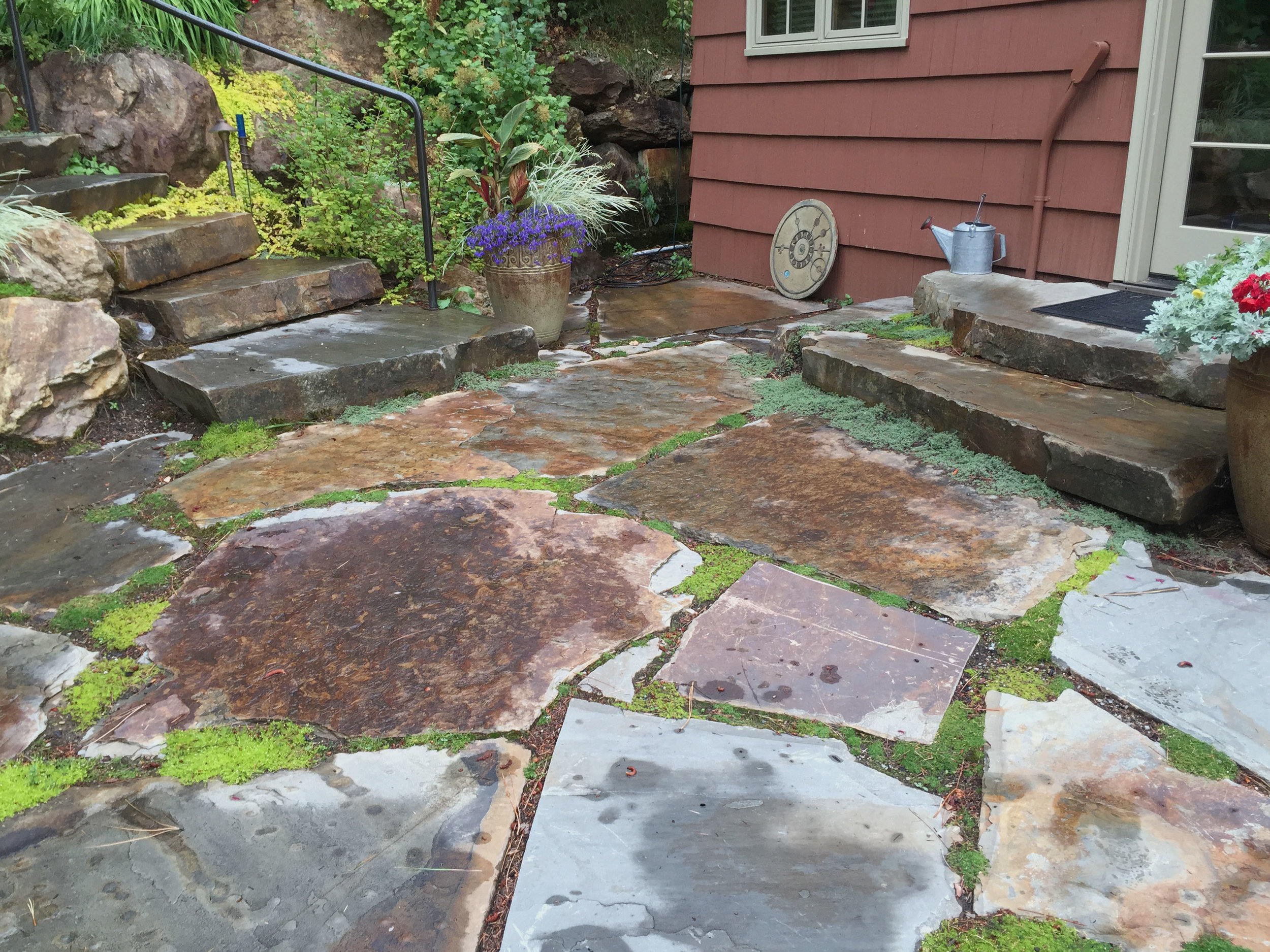 flagstone patio with thyme and moss