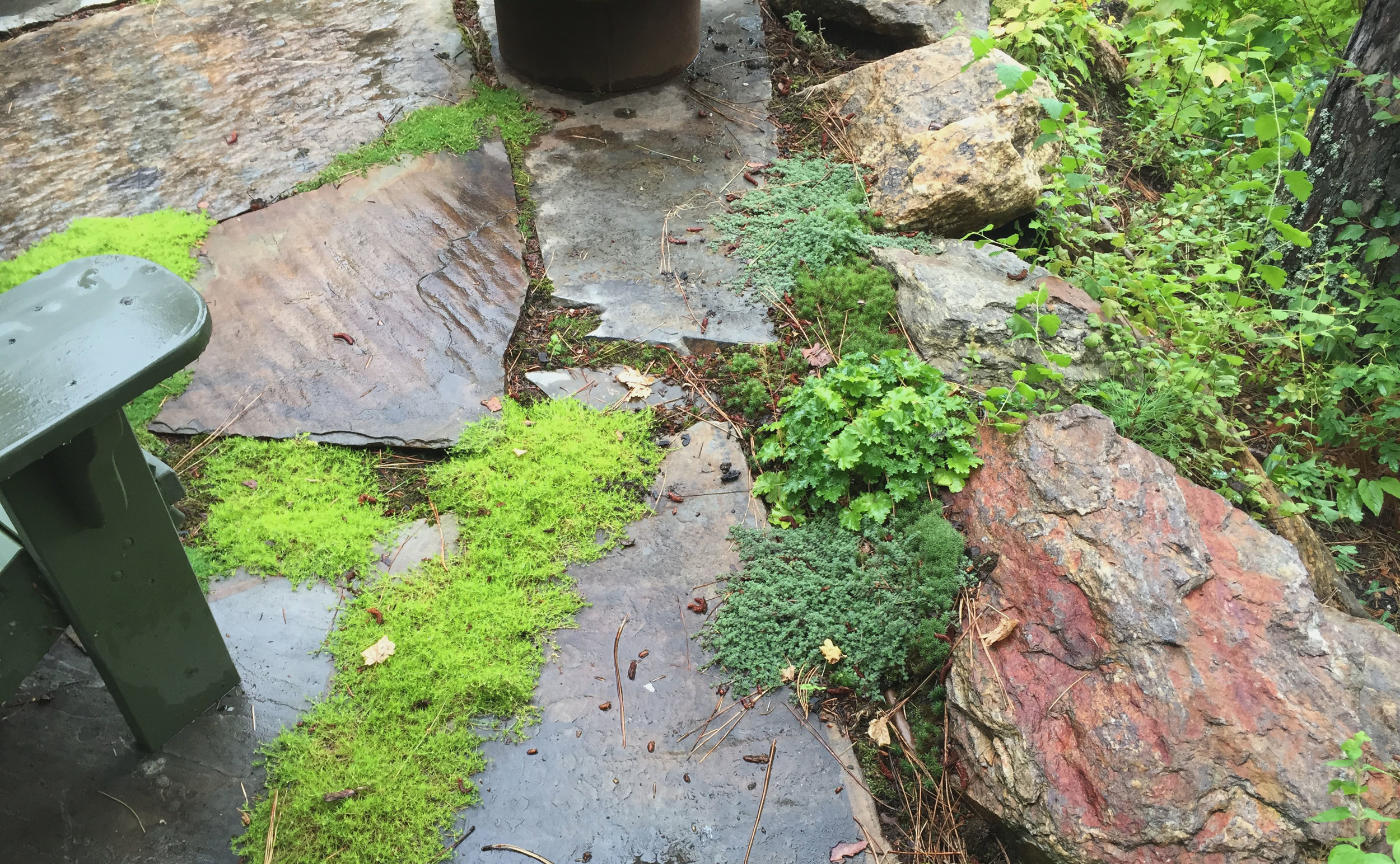 flagstone patio with moss and thyme