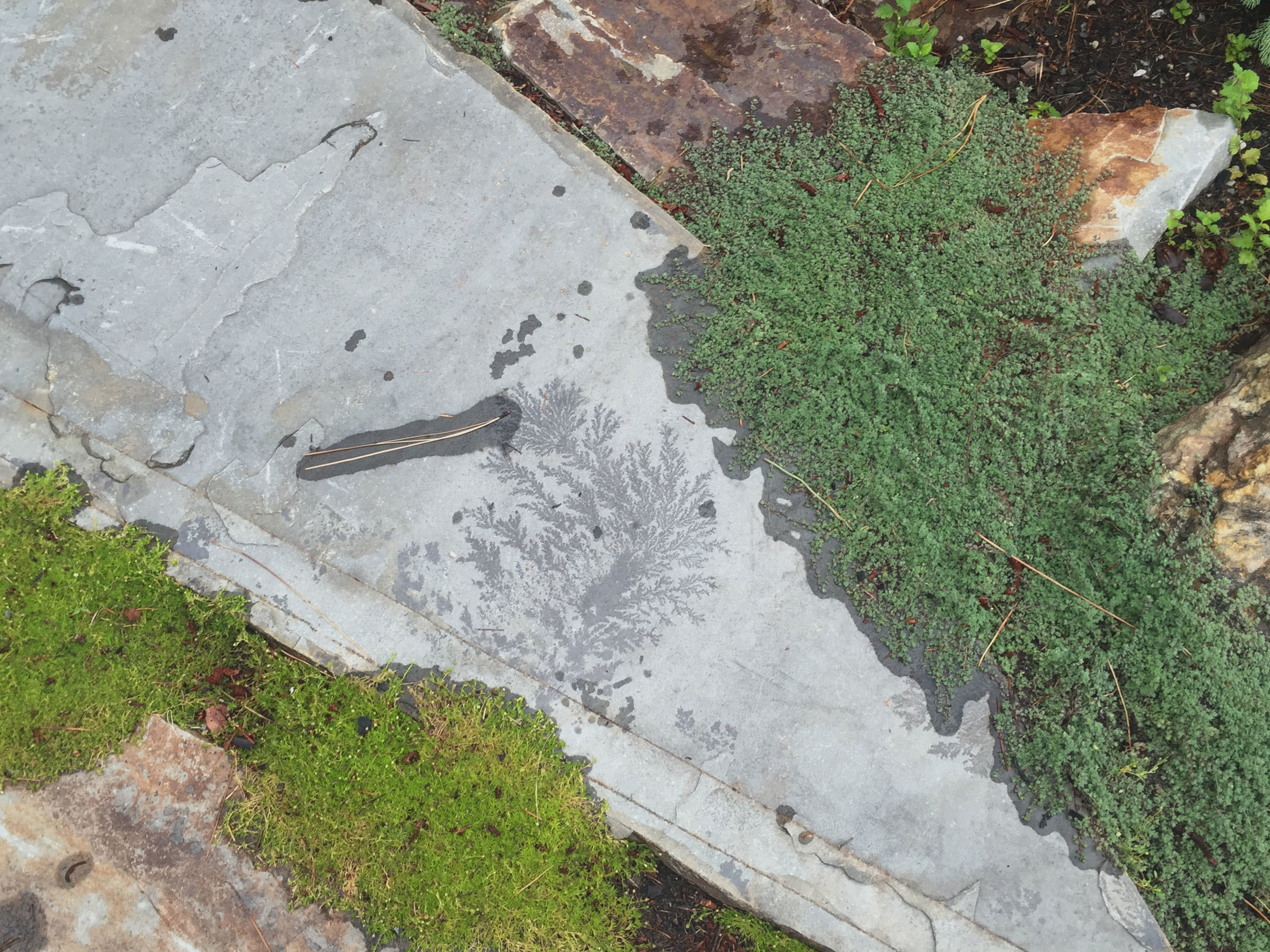 crystal dendrite in flagstone patio