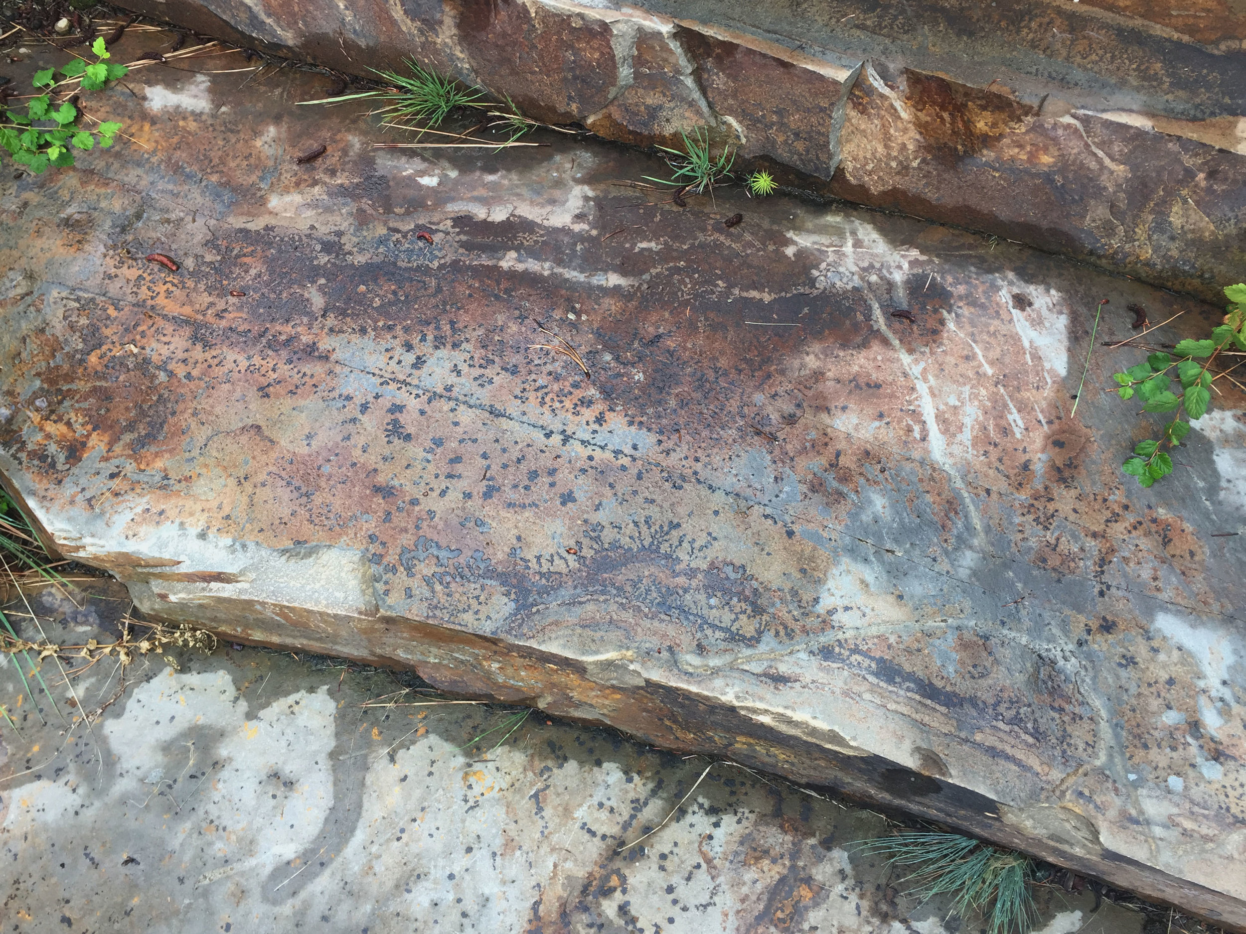 crystal dendrites in montana stone steps