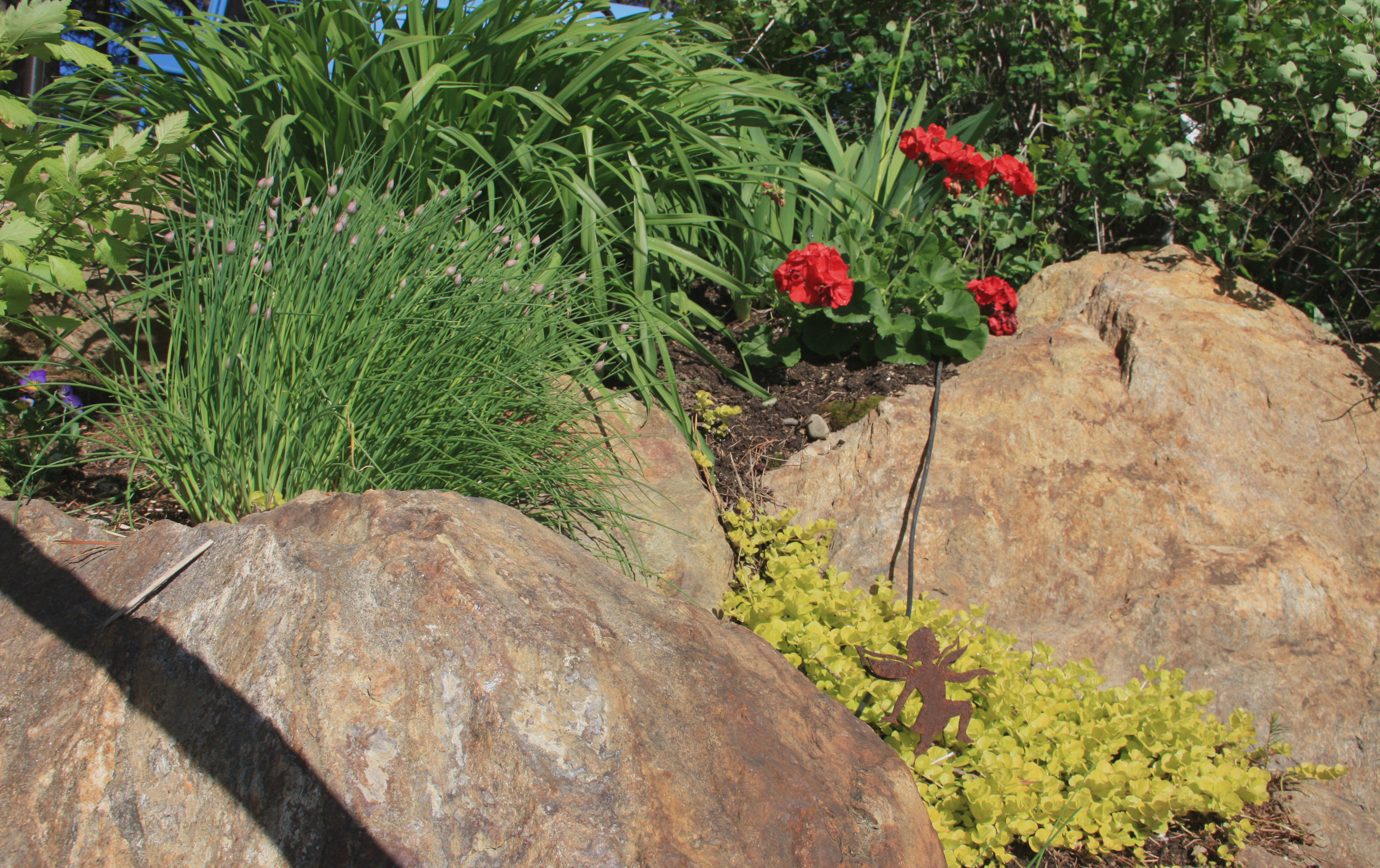 creeping jenny in boulder retaining wall