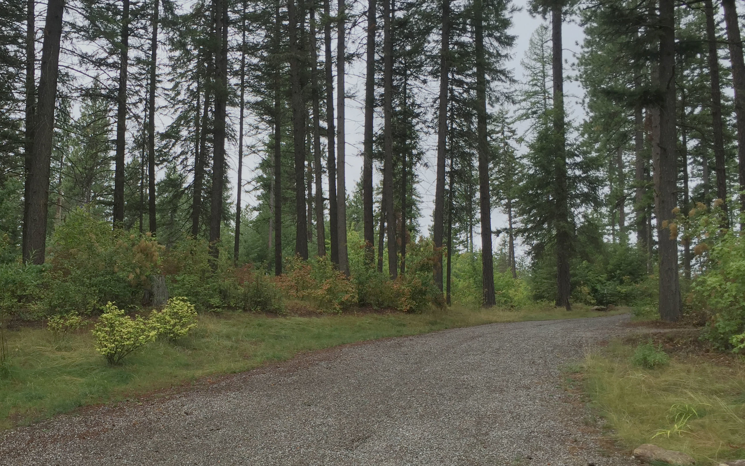 kootenai county natural driveway landscaping