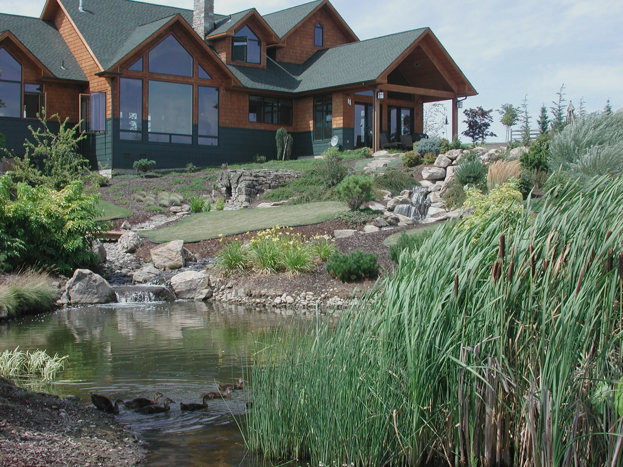 water-feature-pond-2.jpg