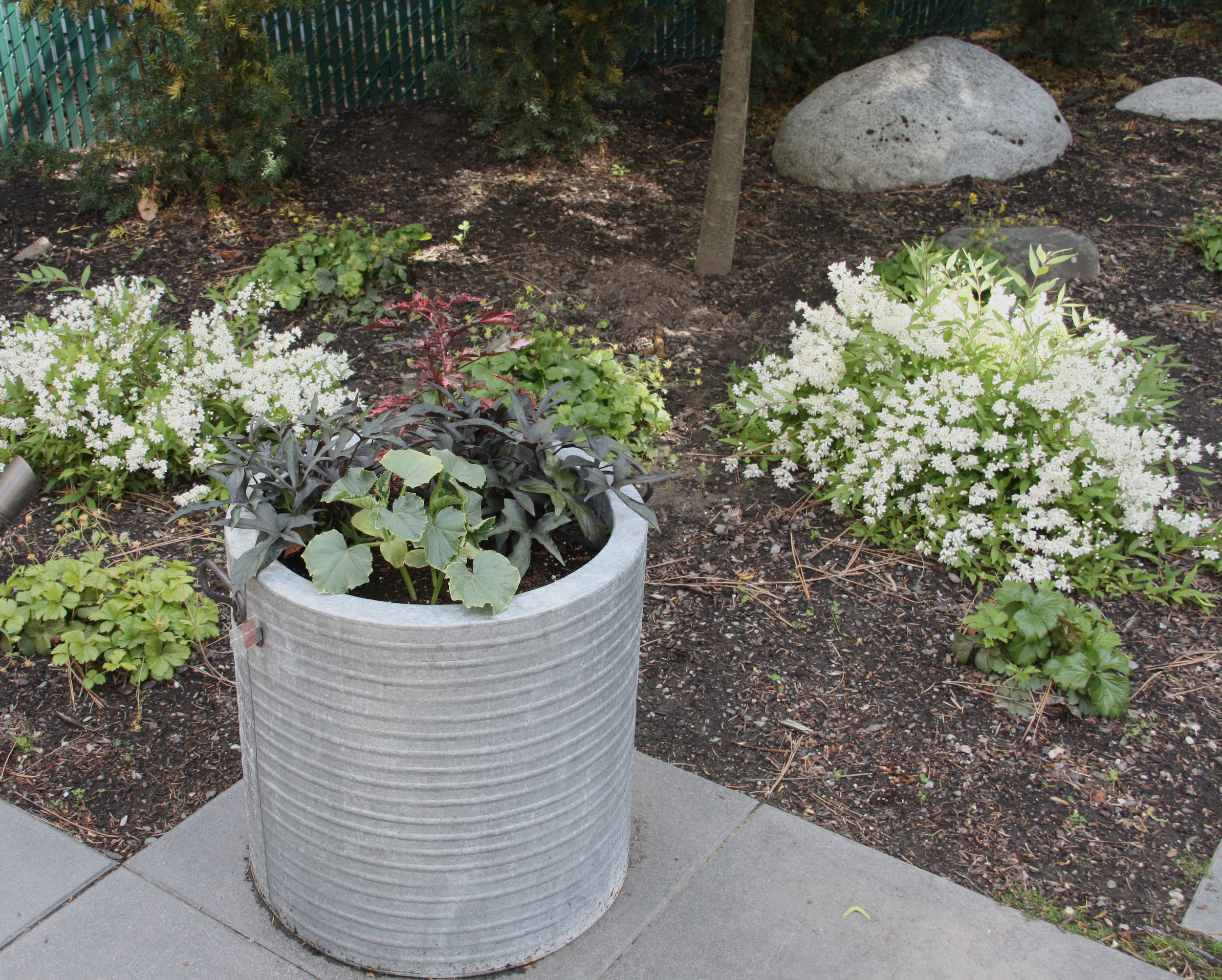 metal-planter-2.JPG