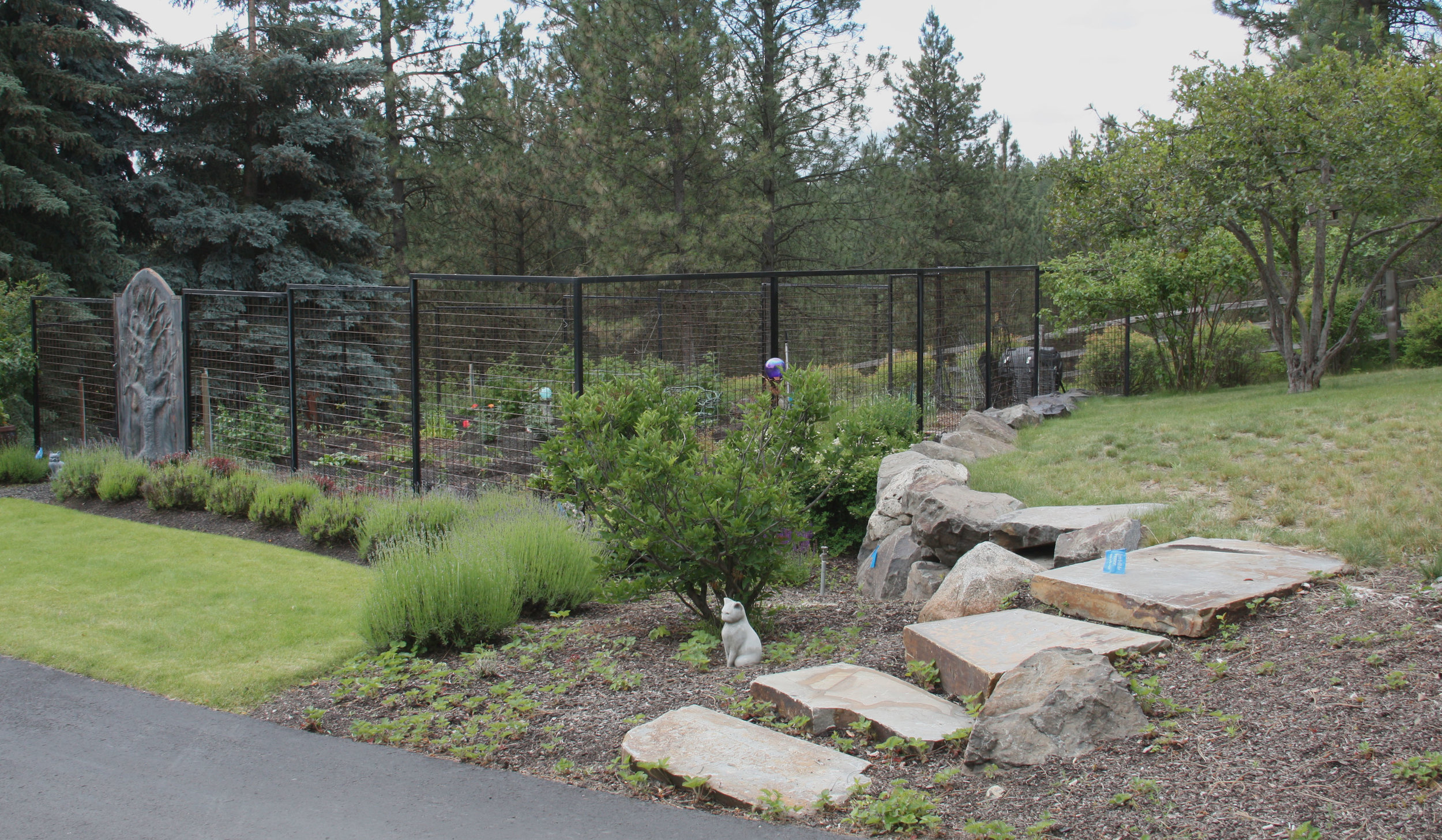 metal deer fencing for vegetable garden