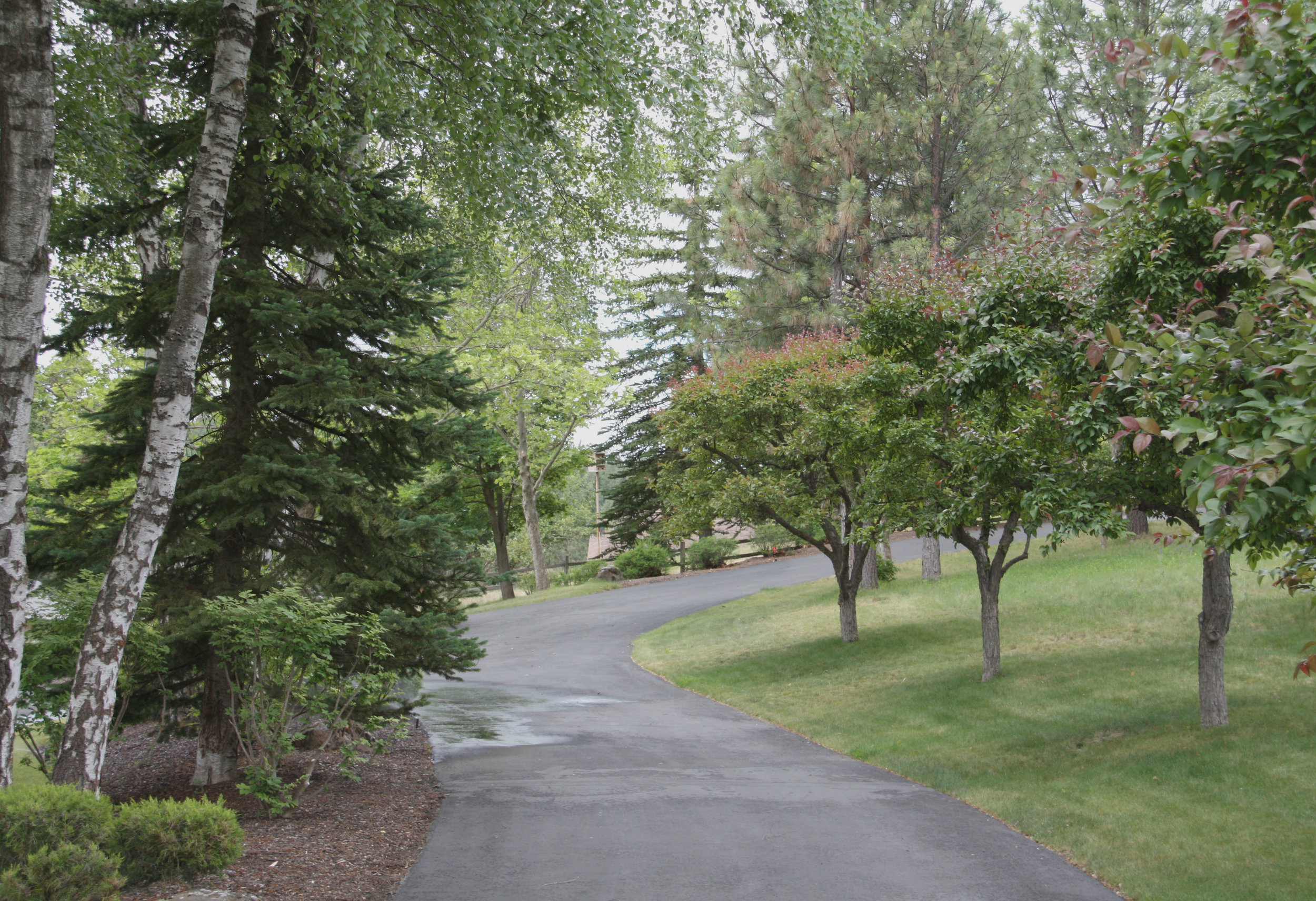 northwest estate driveway landscaping
