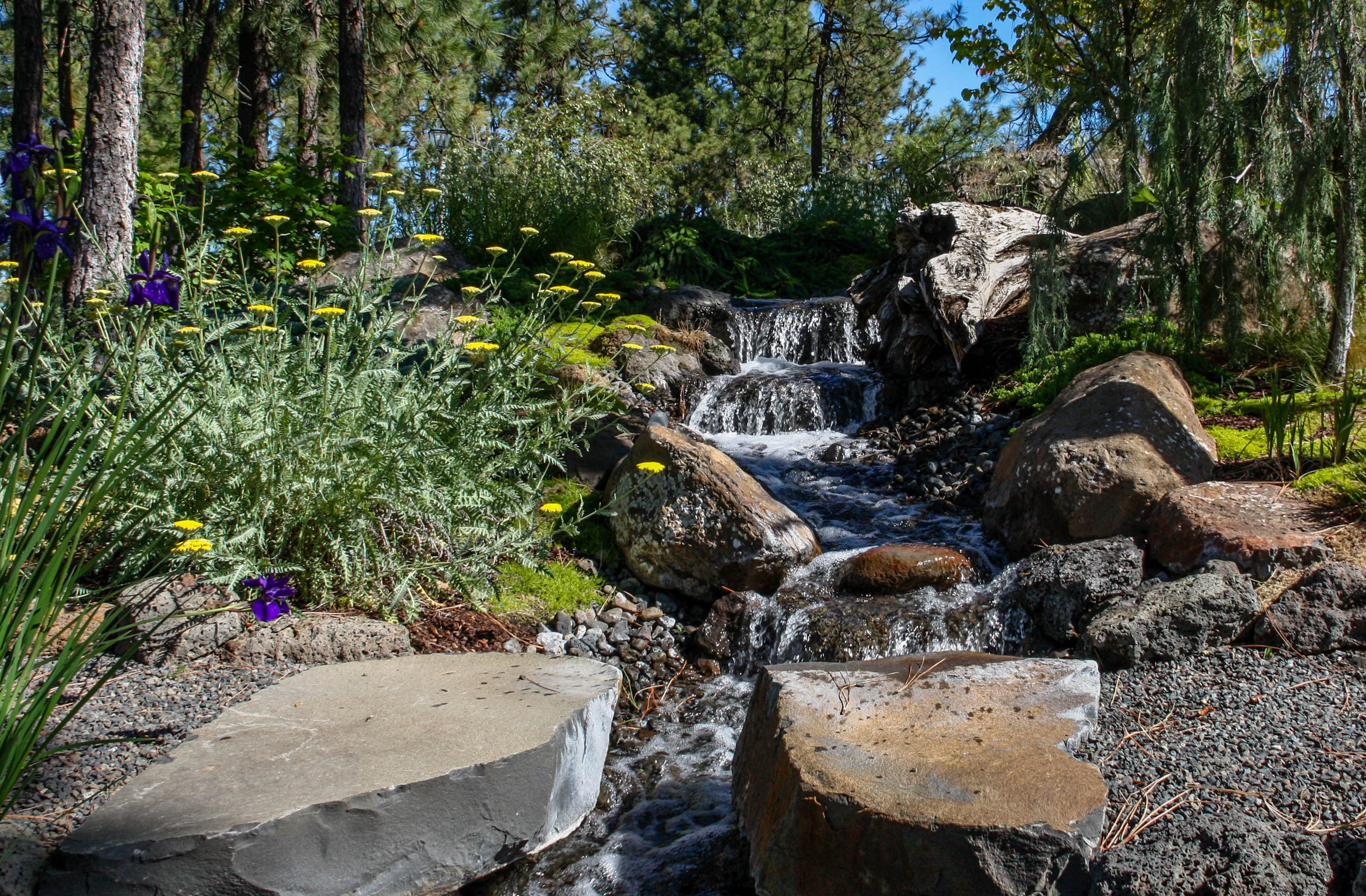 stepping stones across creek water feature 