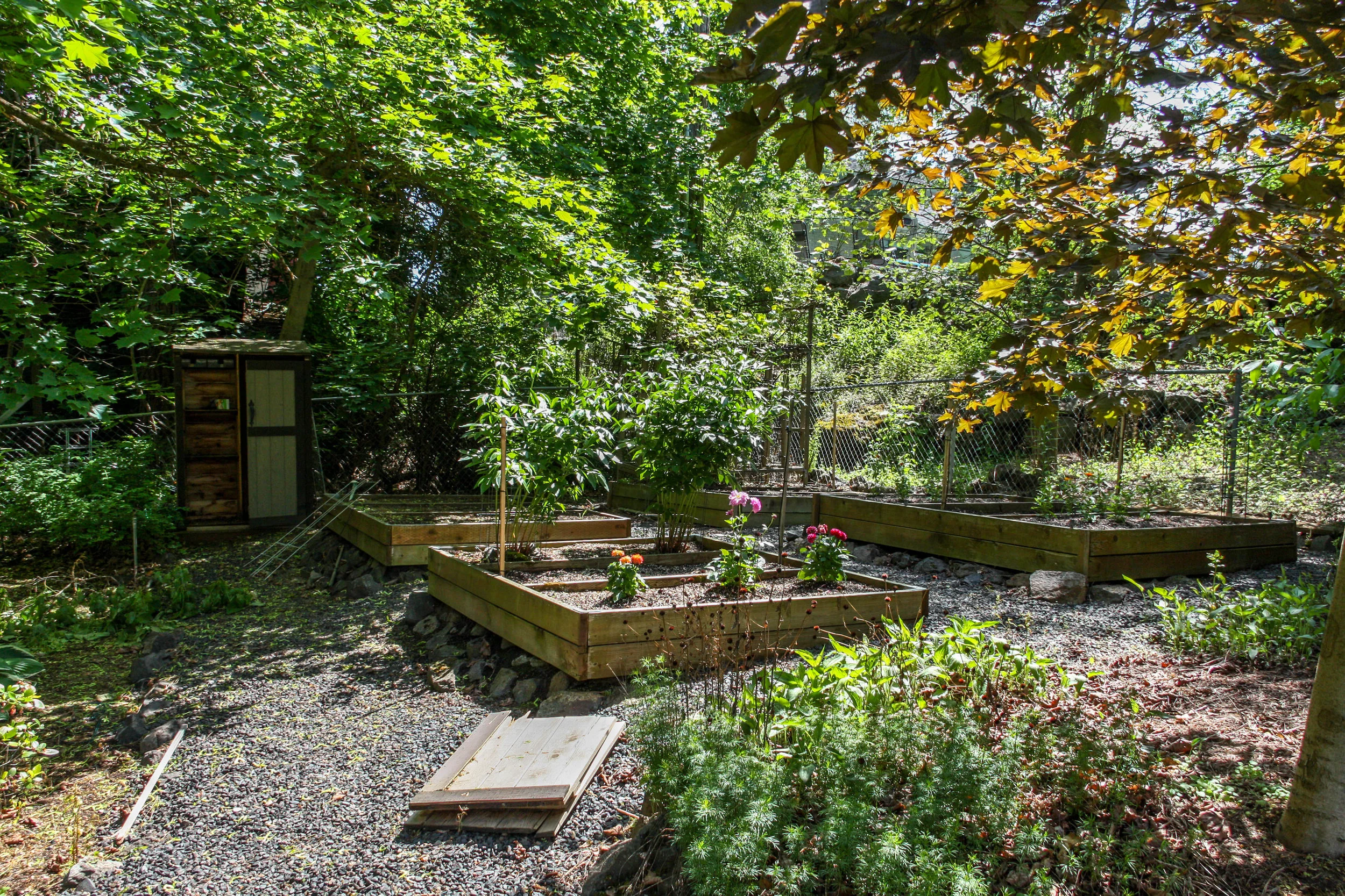 spokane south hill garden with raised vegetable beds