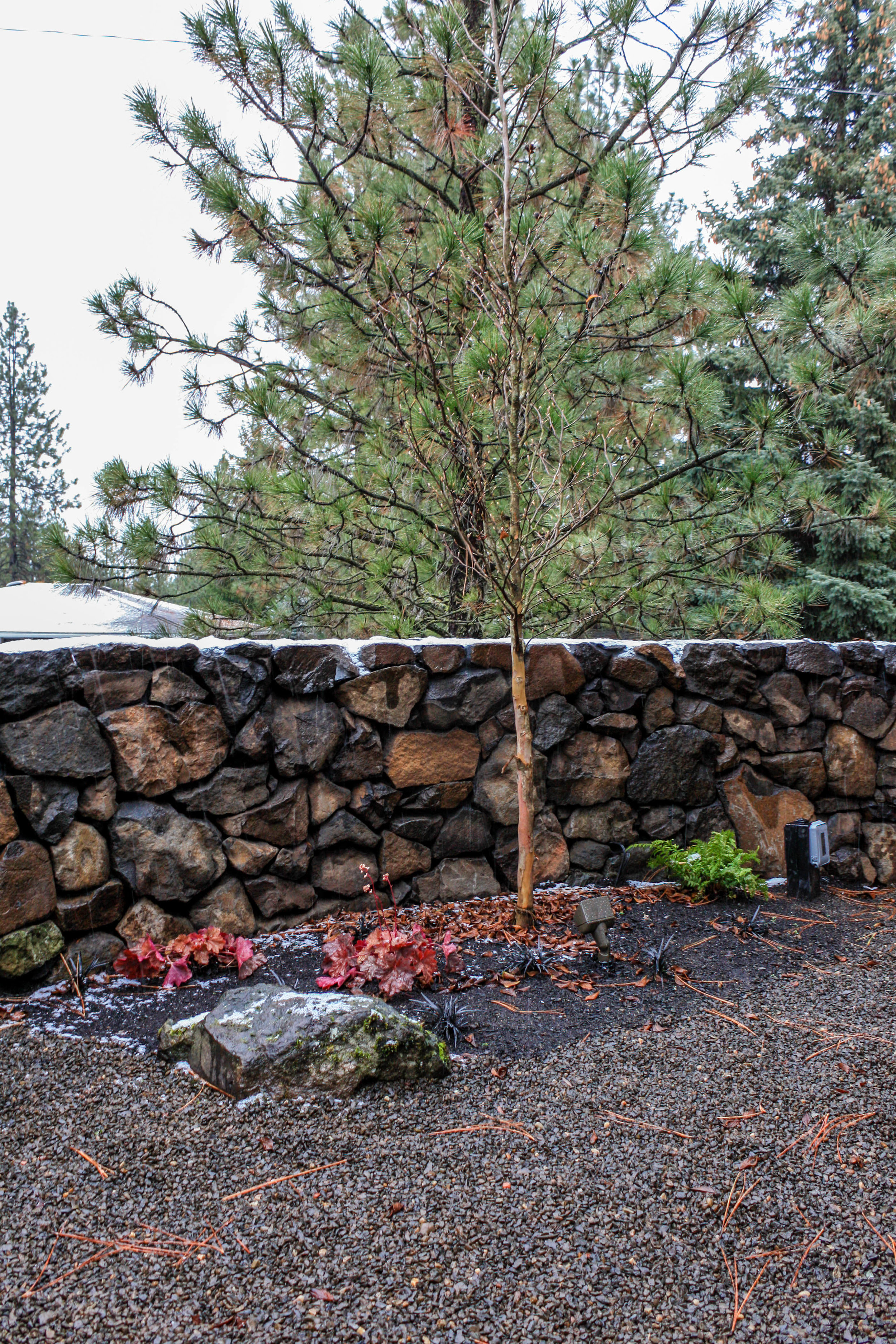 courtyard landscaping with basalt wall in spokane