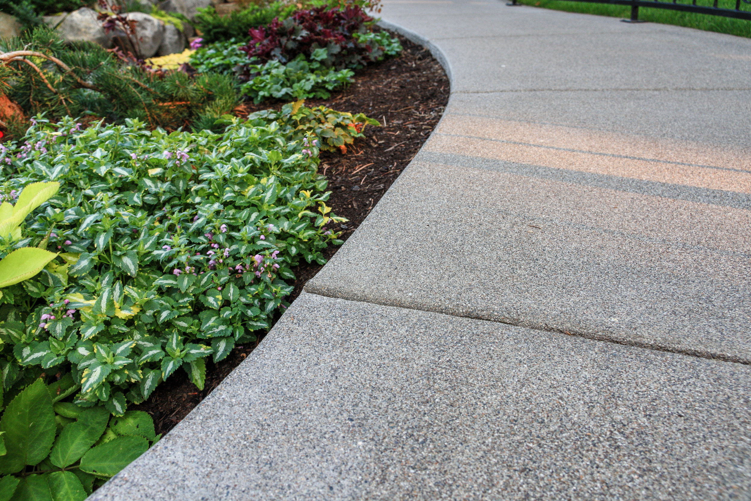 spokane sandwashed concrete sidewalk with anne greenaway lamium