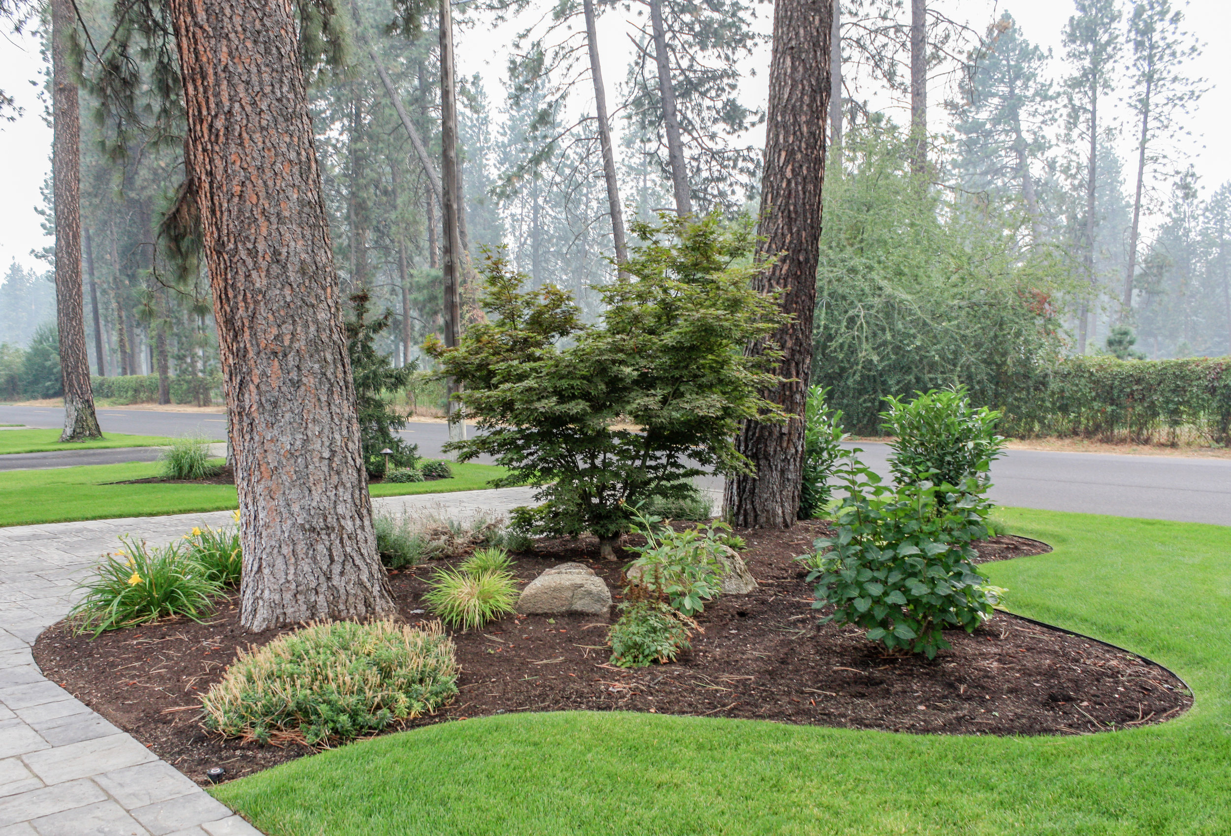 spokane south hill landscaping with japanese maple