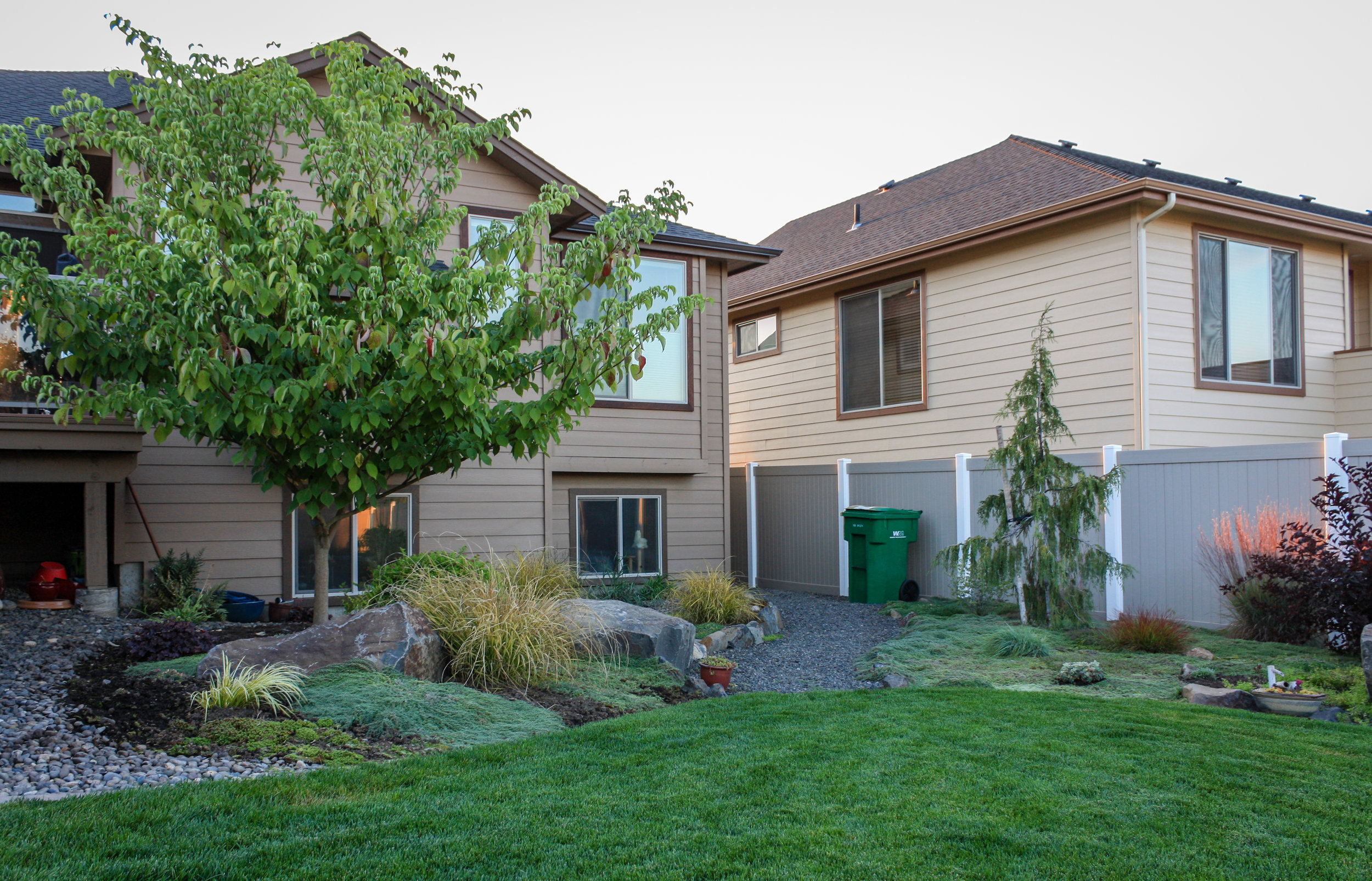 pagoda dogwood and gravel path in spokane valley