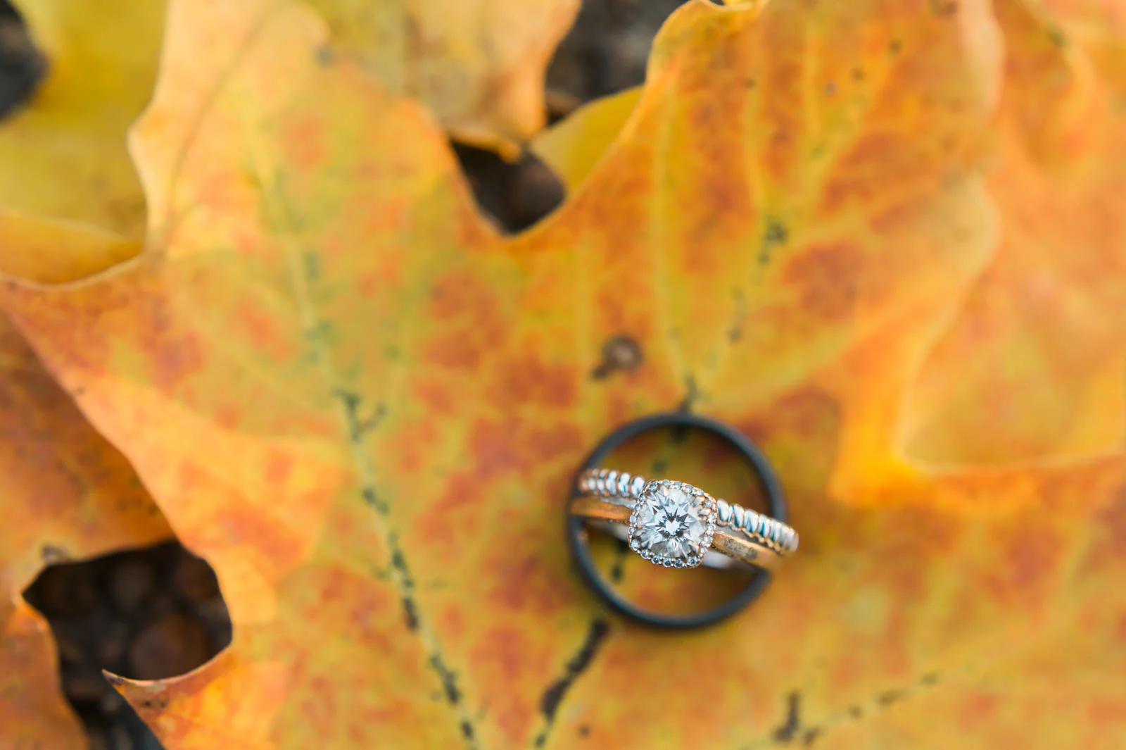 stangelandblog_0085.jpg